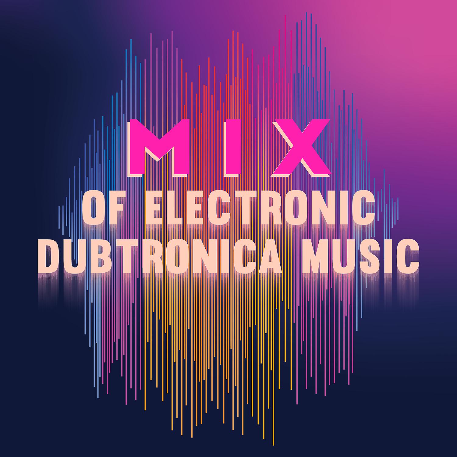 Постер альбома Mix of Electronic Dubtronica Music
