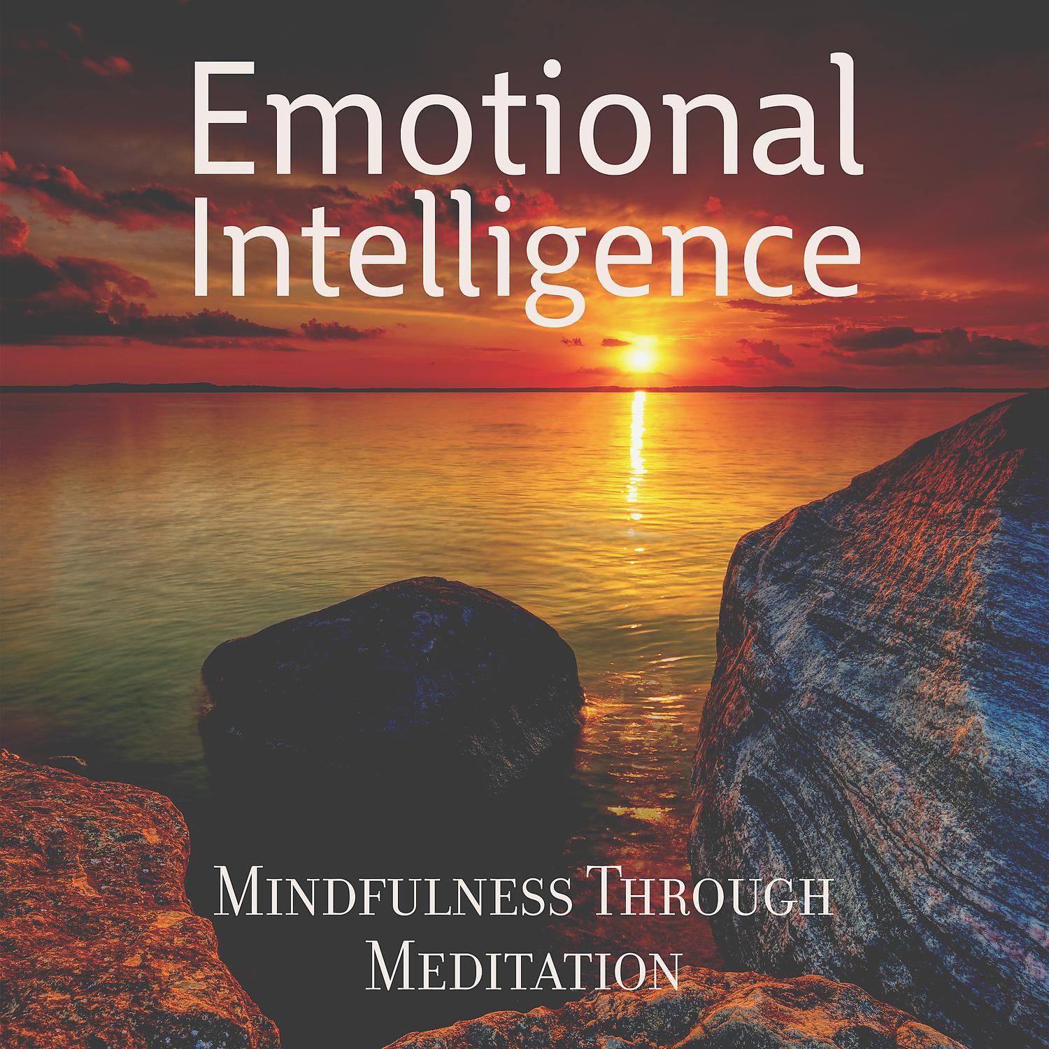 Постер альбома Emotional Intelligence: Mindfulness Through Meditation, Self Awareness, Anti Stress Therapy