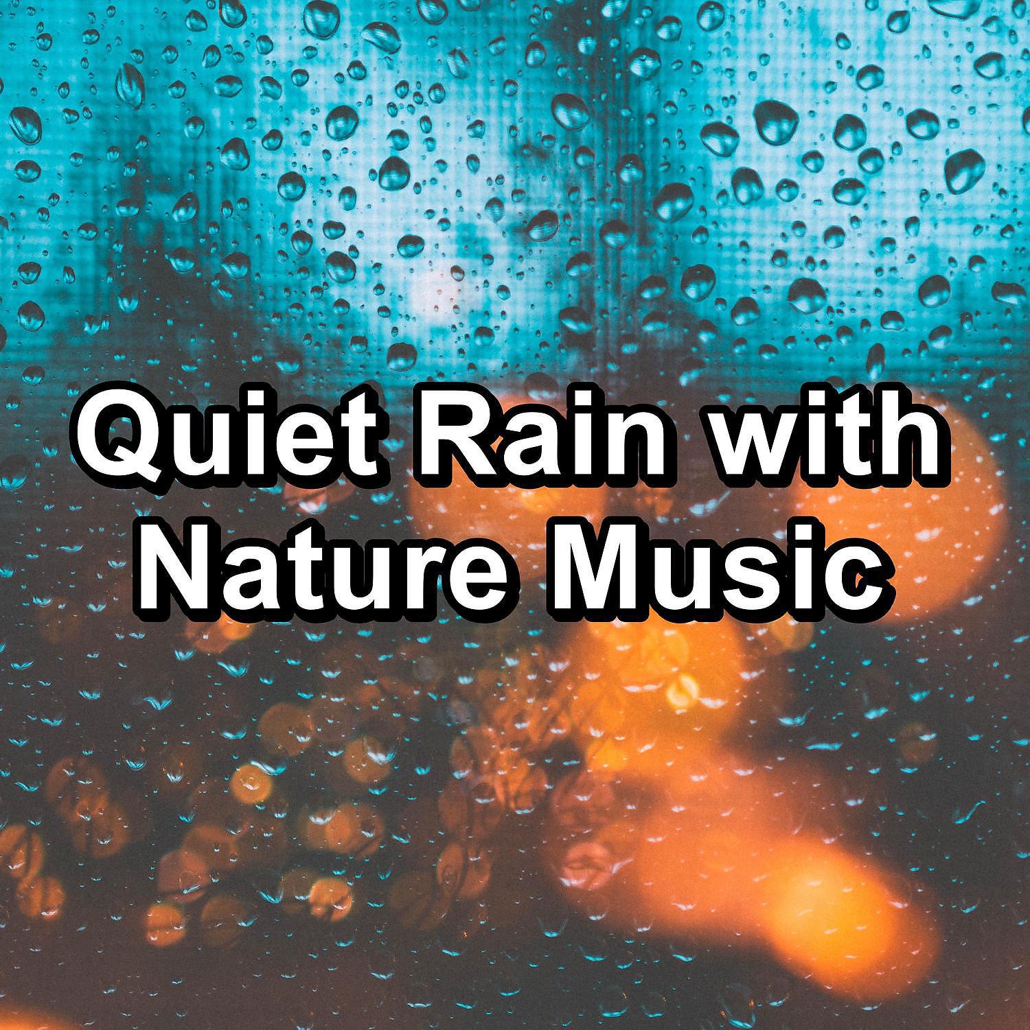 Постер альбома Quiet Rain with Nature Music