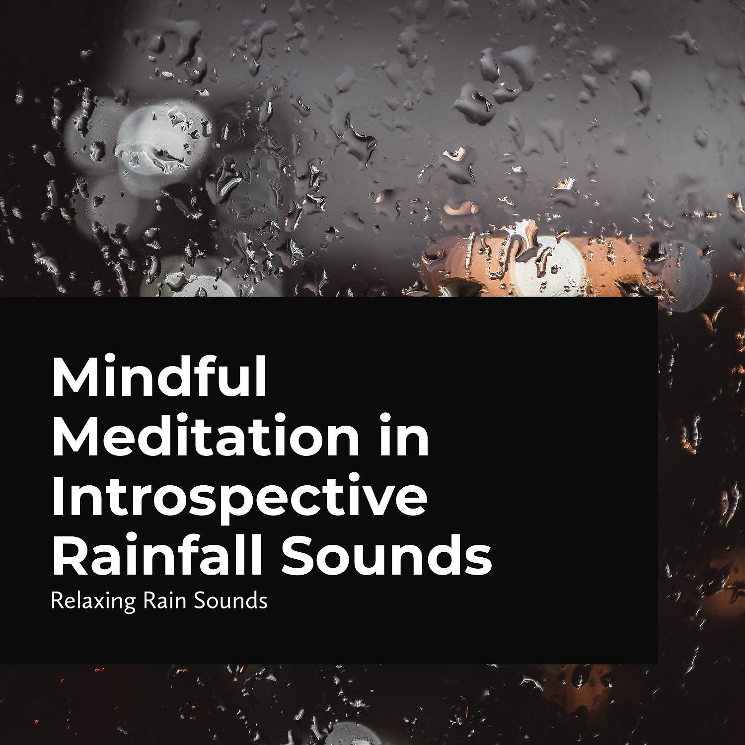 Постер альбома Mindful Meditation in Introspective Rainfall Sounds
