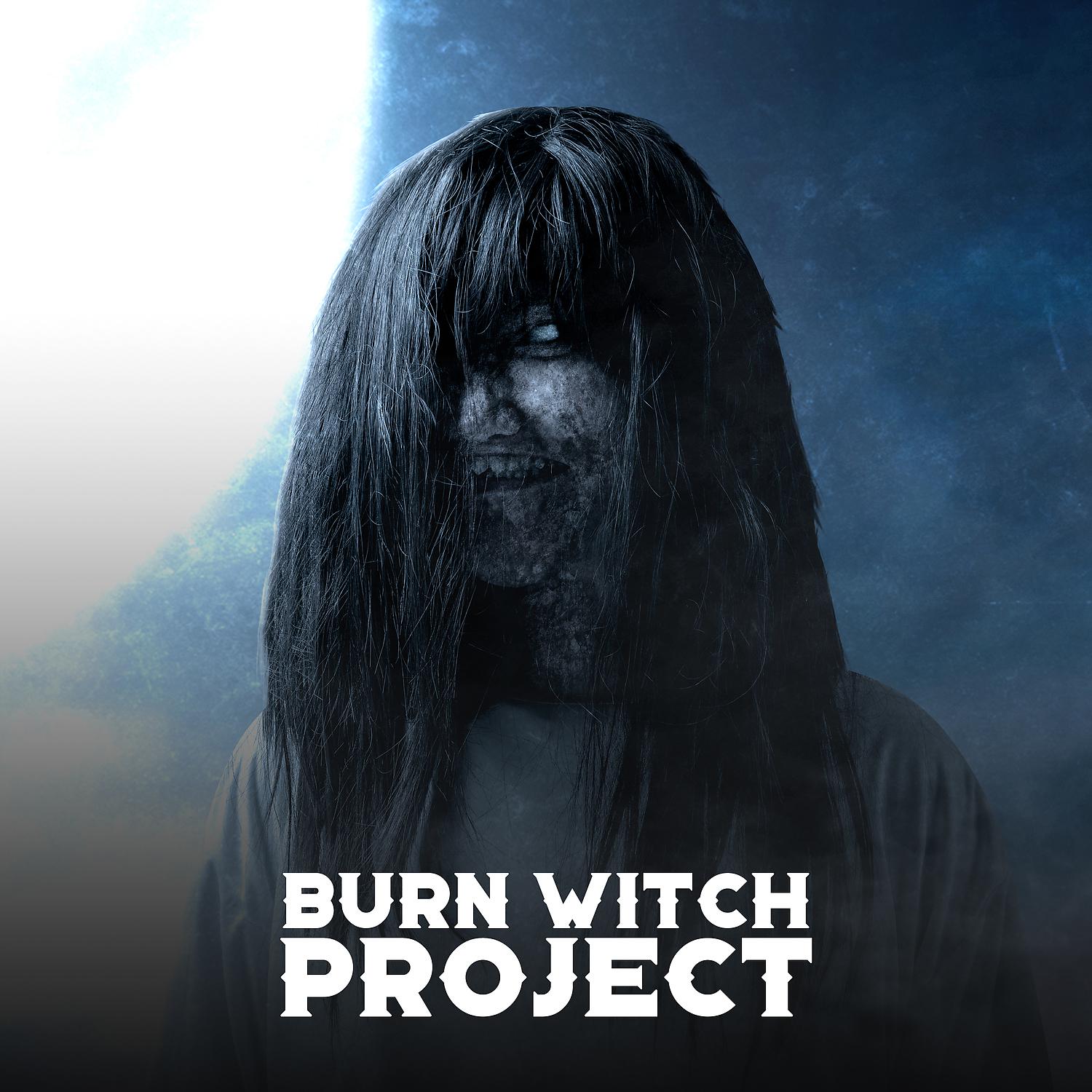 Постер альбома Burn Witch Project