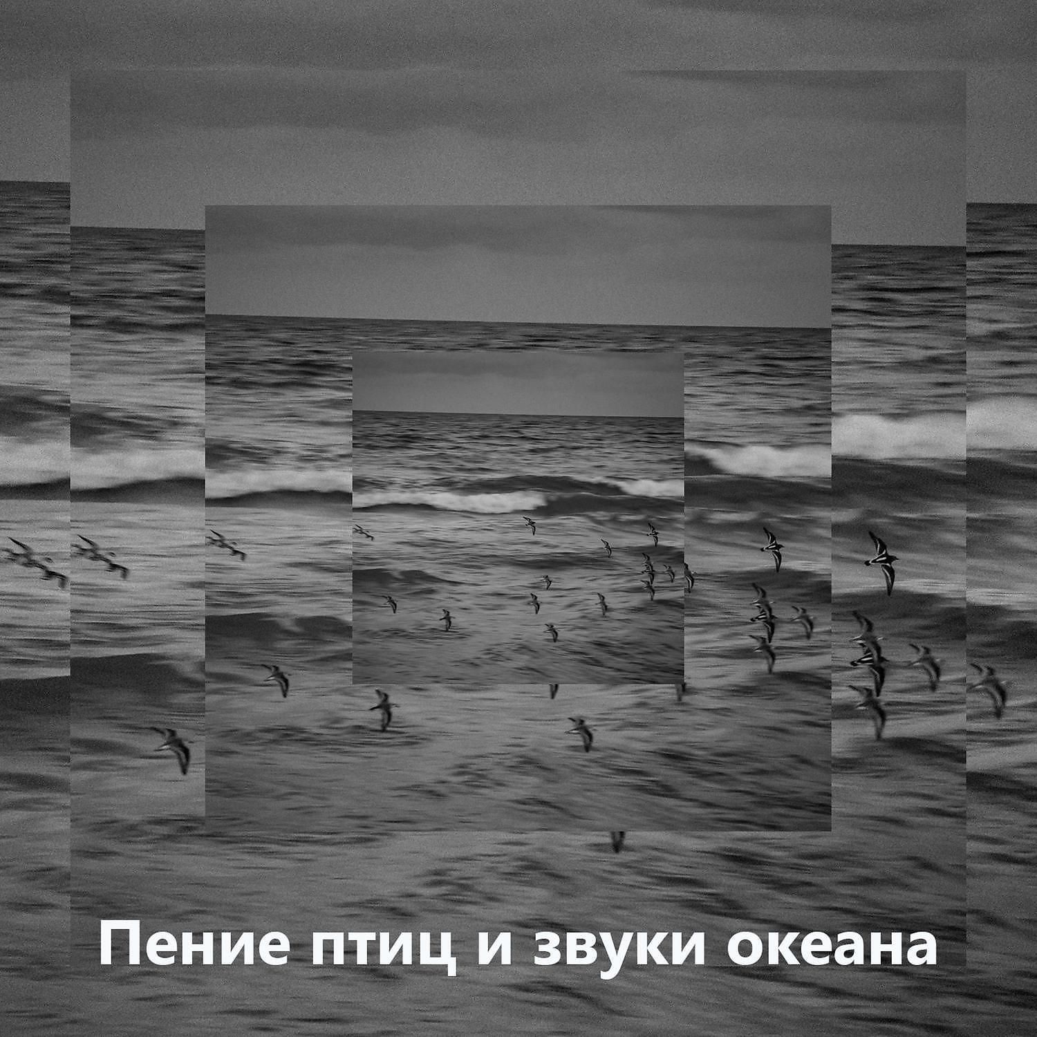 RW Фортепиано, птицы и звуки океана - Фортепианная музыка и звуки природы (Поющие птицы)