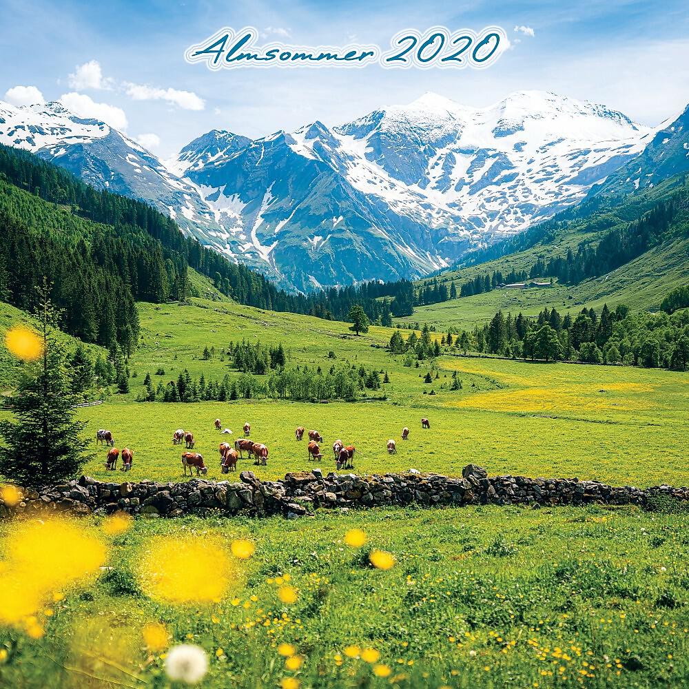 Schwarzenstoa Koral mit Freunden - Da Summa ischt aussi