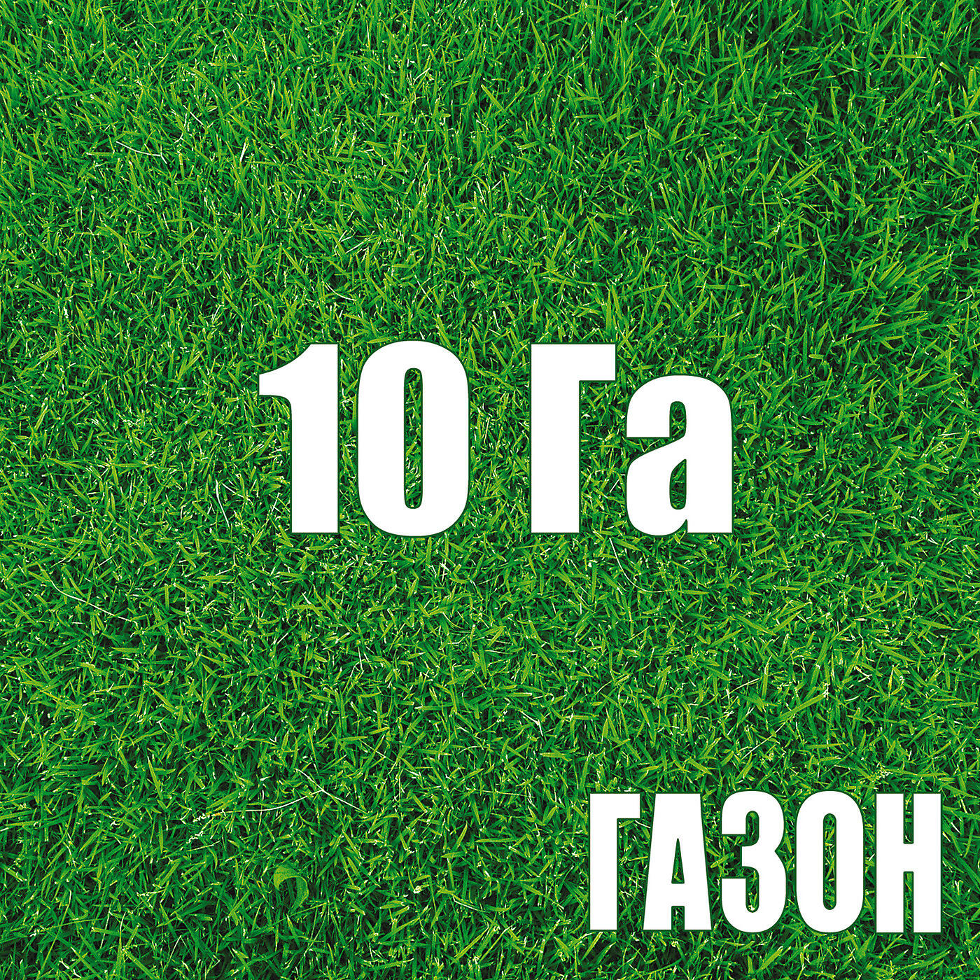 Постер альбома 10 Га