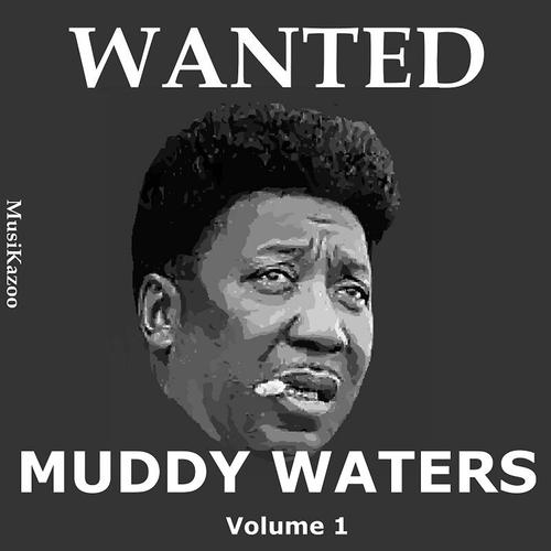 Постер альбома Wanted Muddy Waters (Vol. 1)