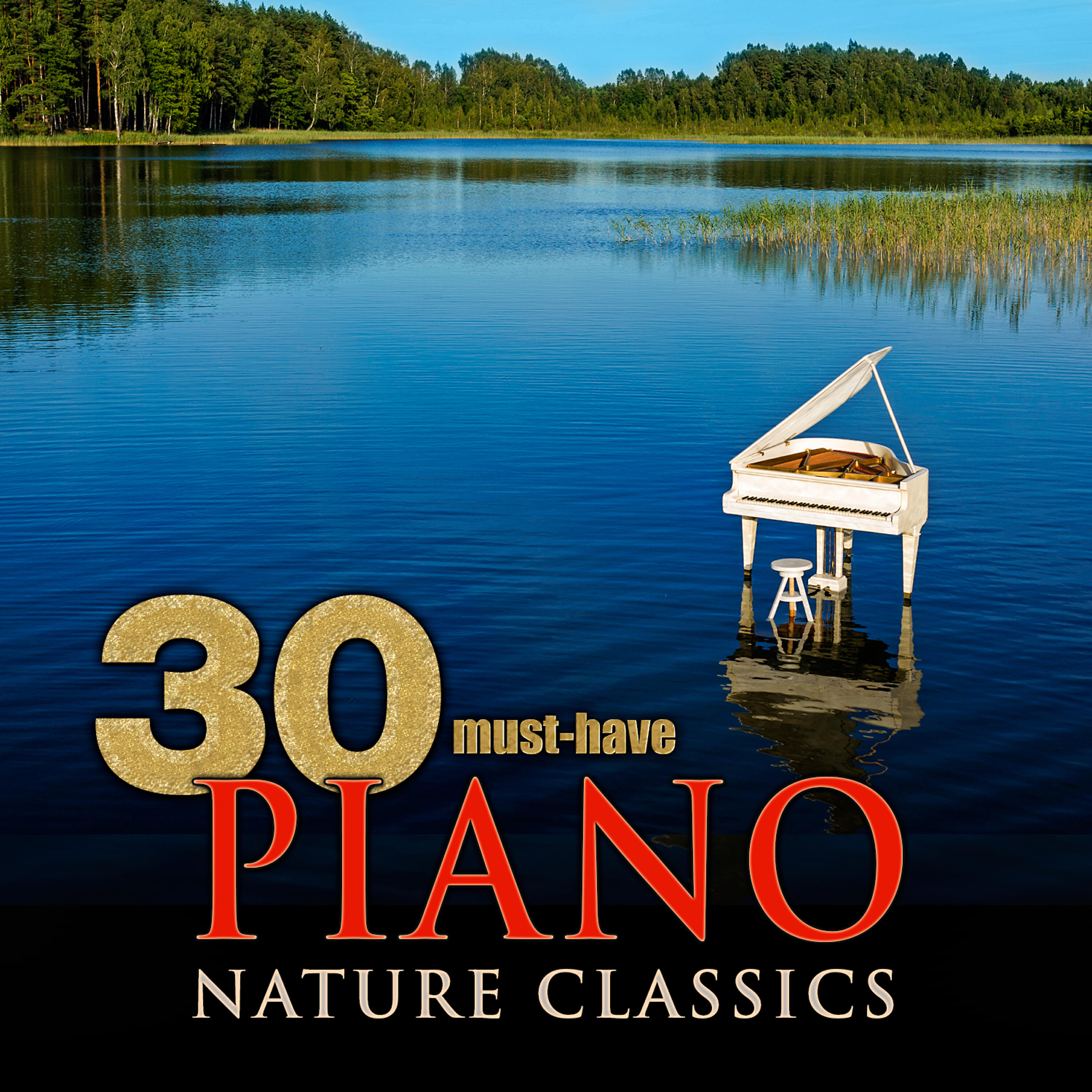Stanislav Bunin - 24 Preludes, Op. 28: No. 15 in D-Flat Major, 