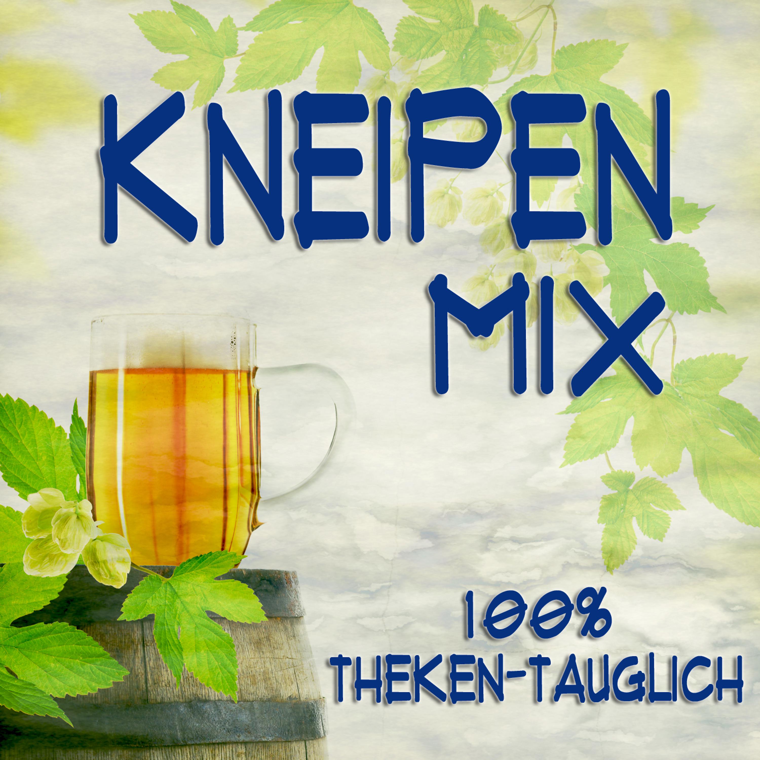 Постер альбома Kneipen Mix