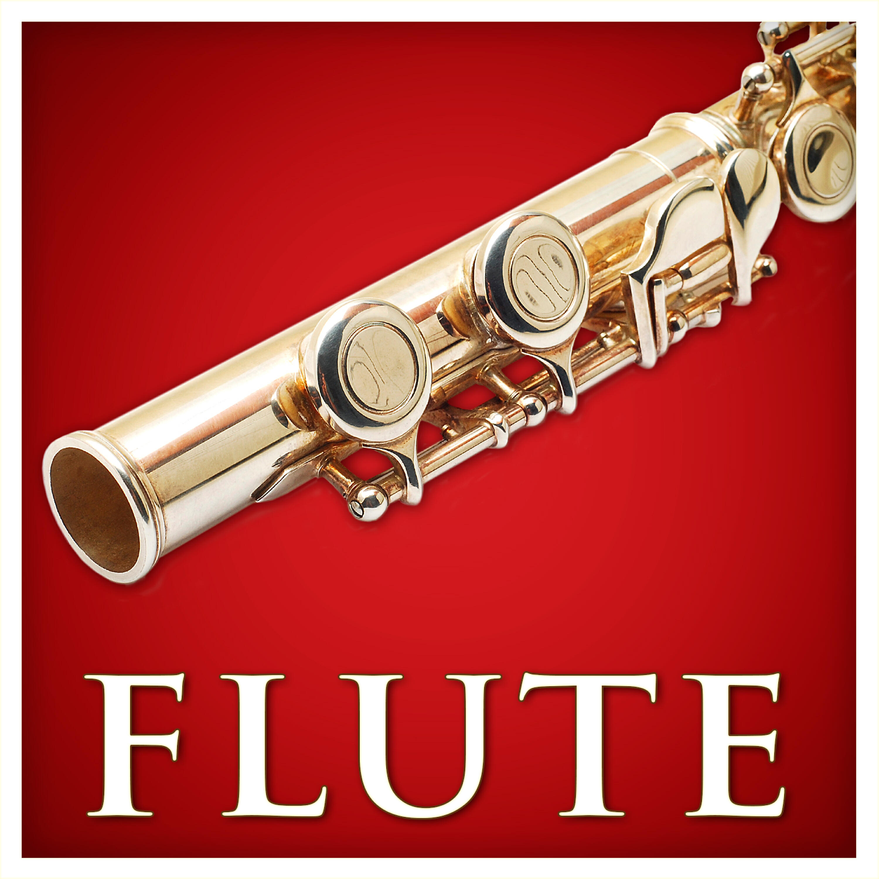 Budapest Strings - Piccolo Flute Concerto in C Major, RV 443: III. Allegro molto