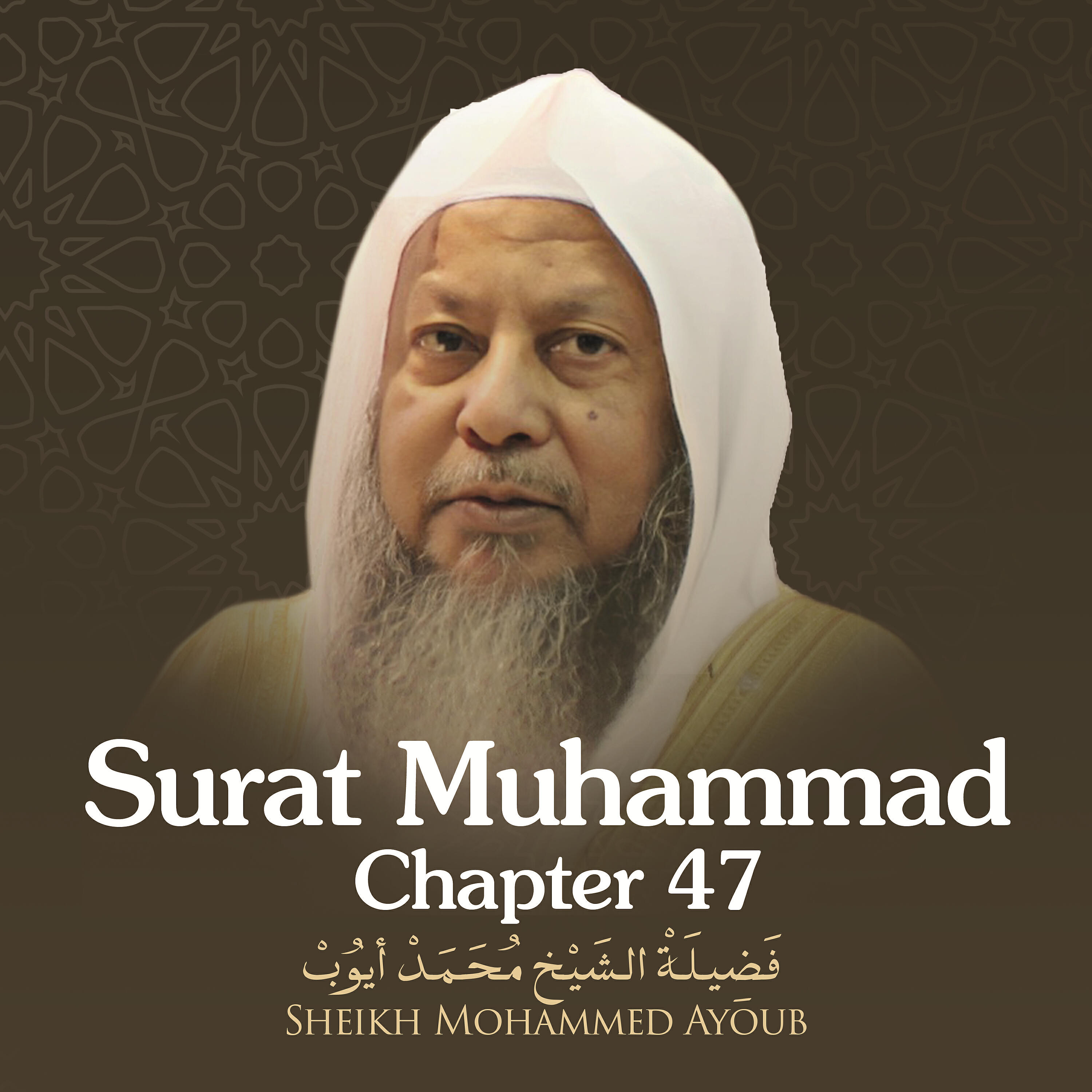 Sheikh Mohammed Ayoub - Surat Muhammad, Chapter 47, Verse 10 - 32
