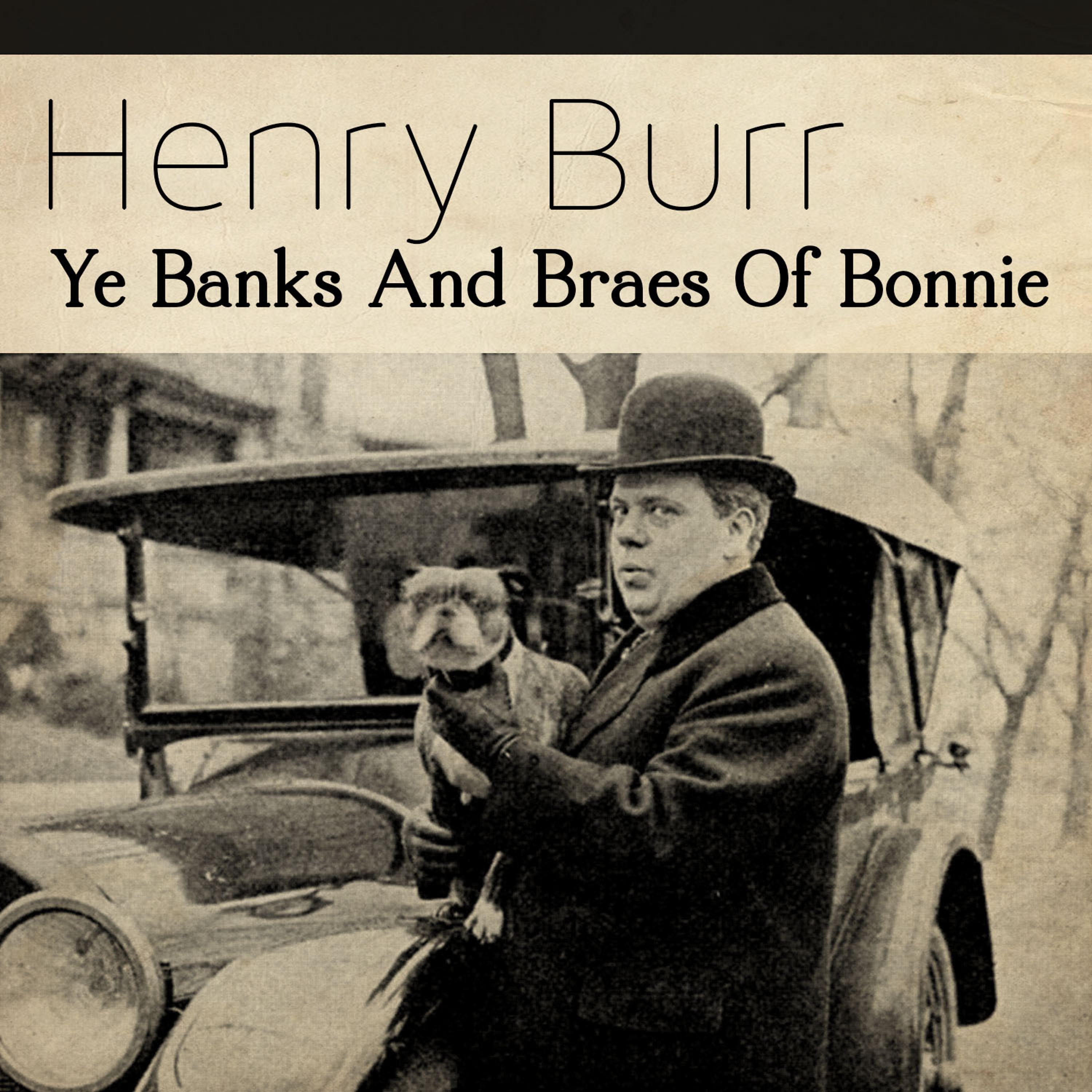 Постер альбома Ye Banks and Braes of Bonnie