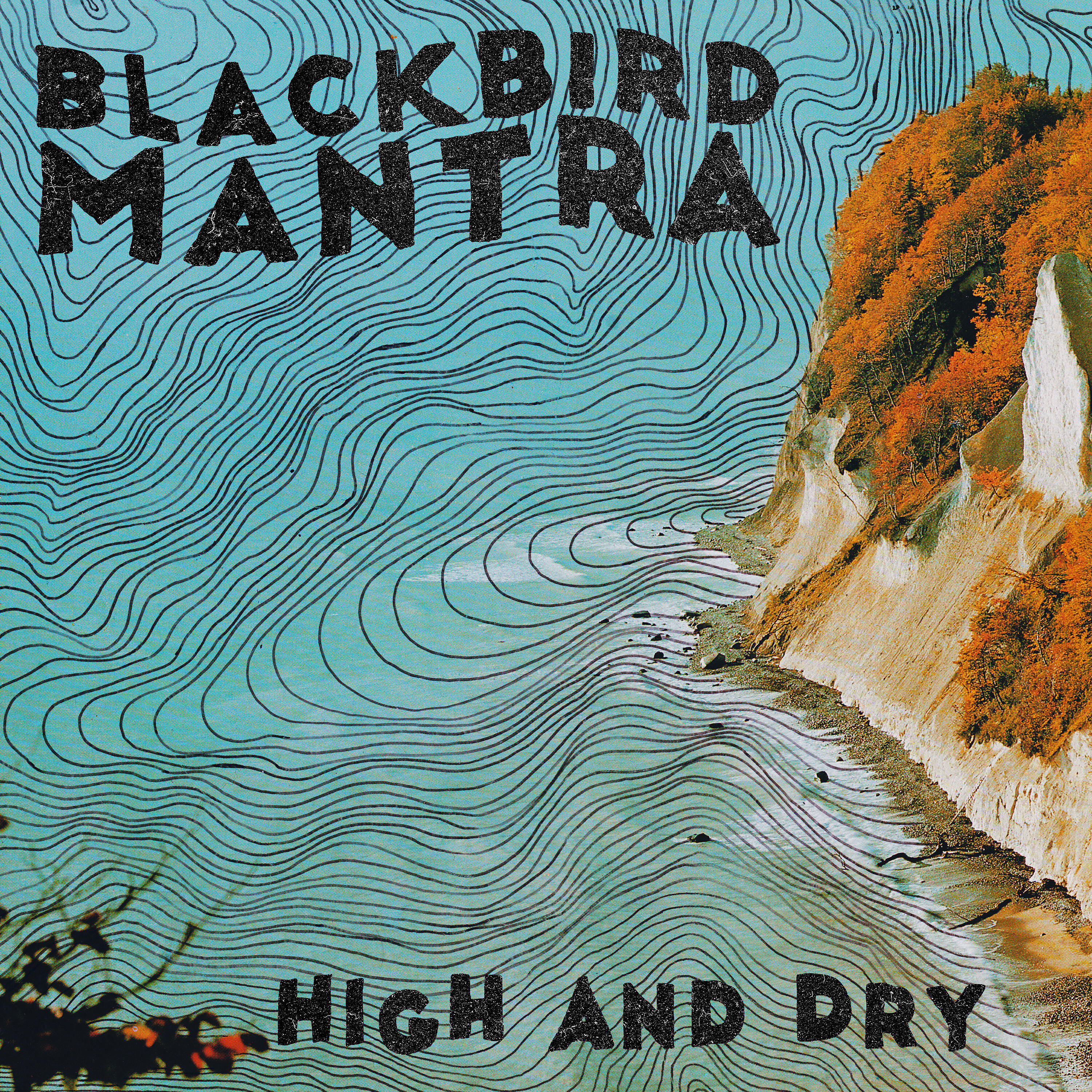 Blackbird Mantra - Dreamliner