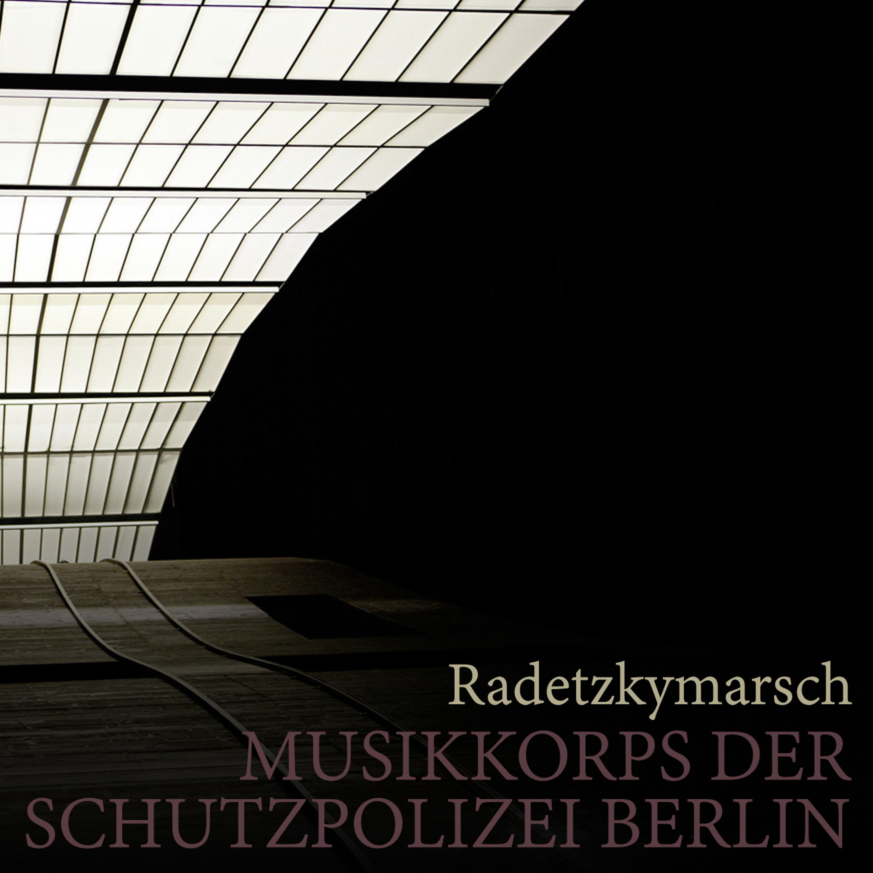 Постер альбома Radetzkymarsch