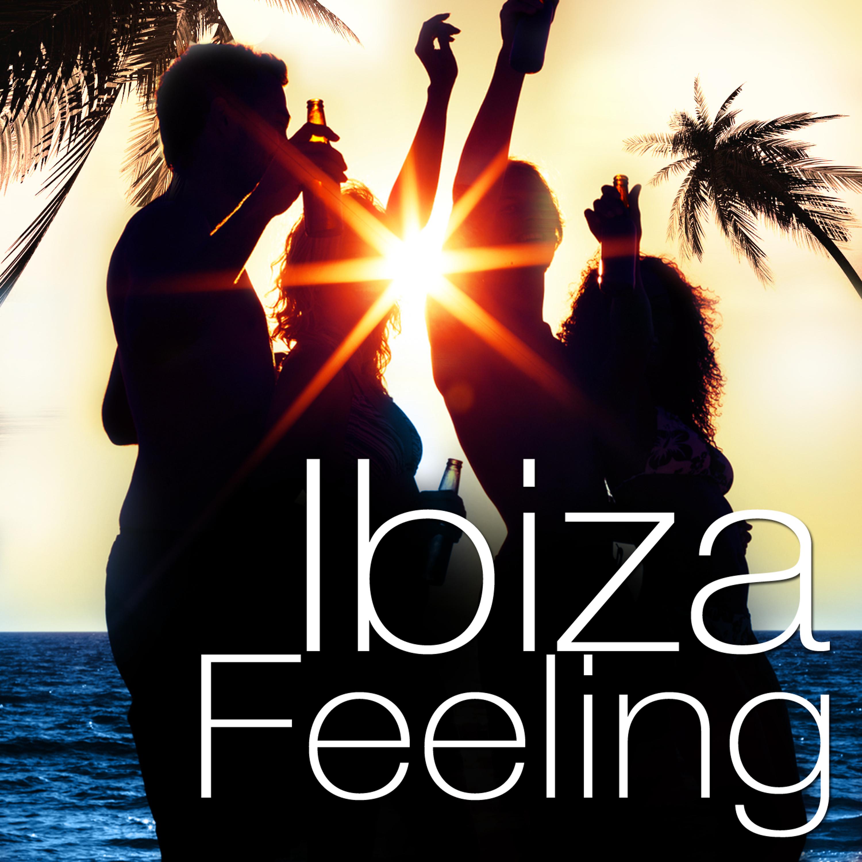 Постер альбома Ibiza Feeling