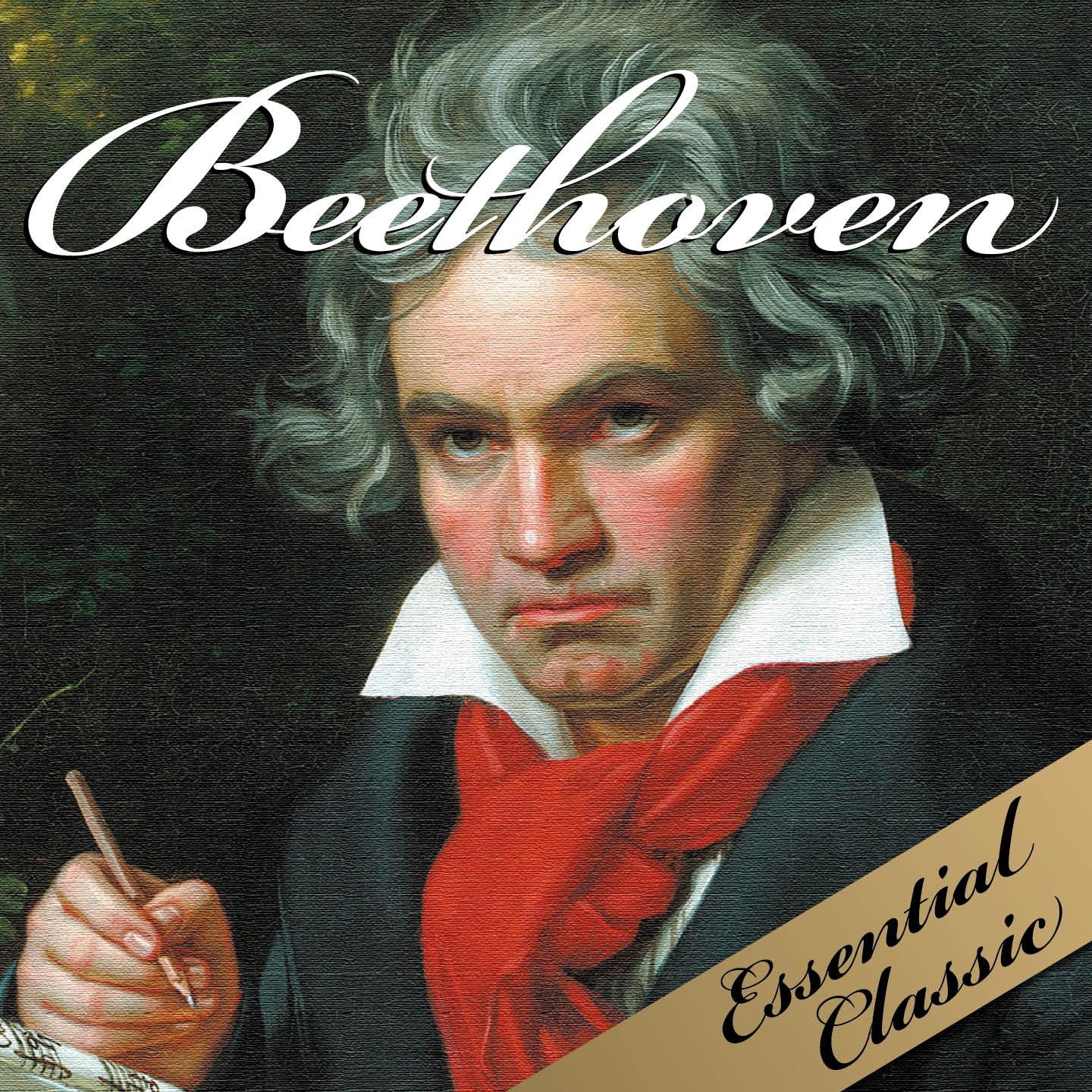 Постер альбома Beethoven : Essential Classic