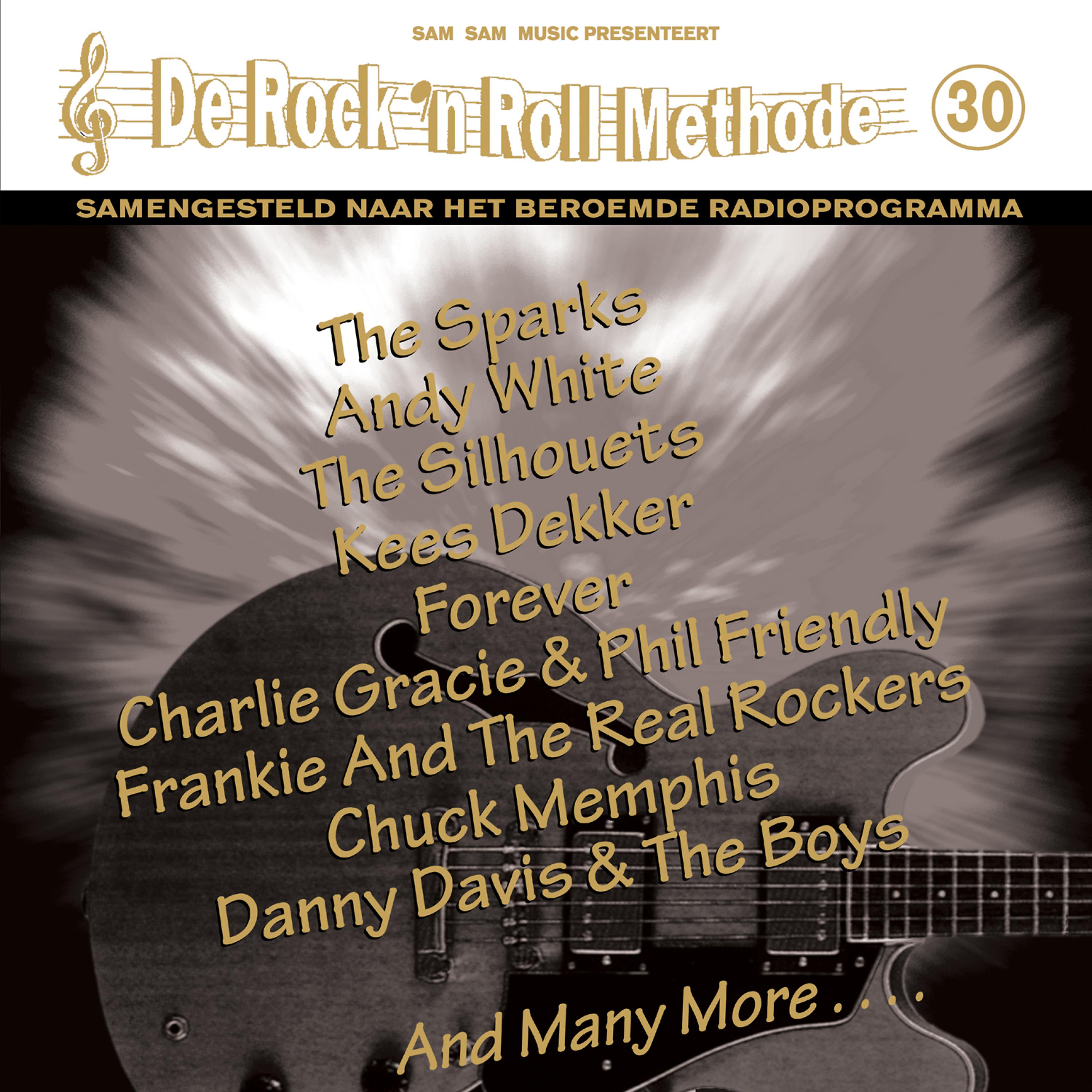 Постер альбома De Rock 'N Roll Methode, Vol. 30