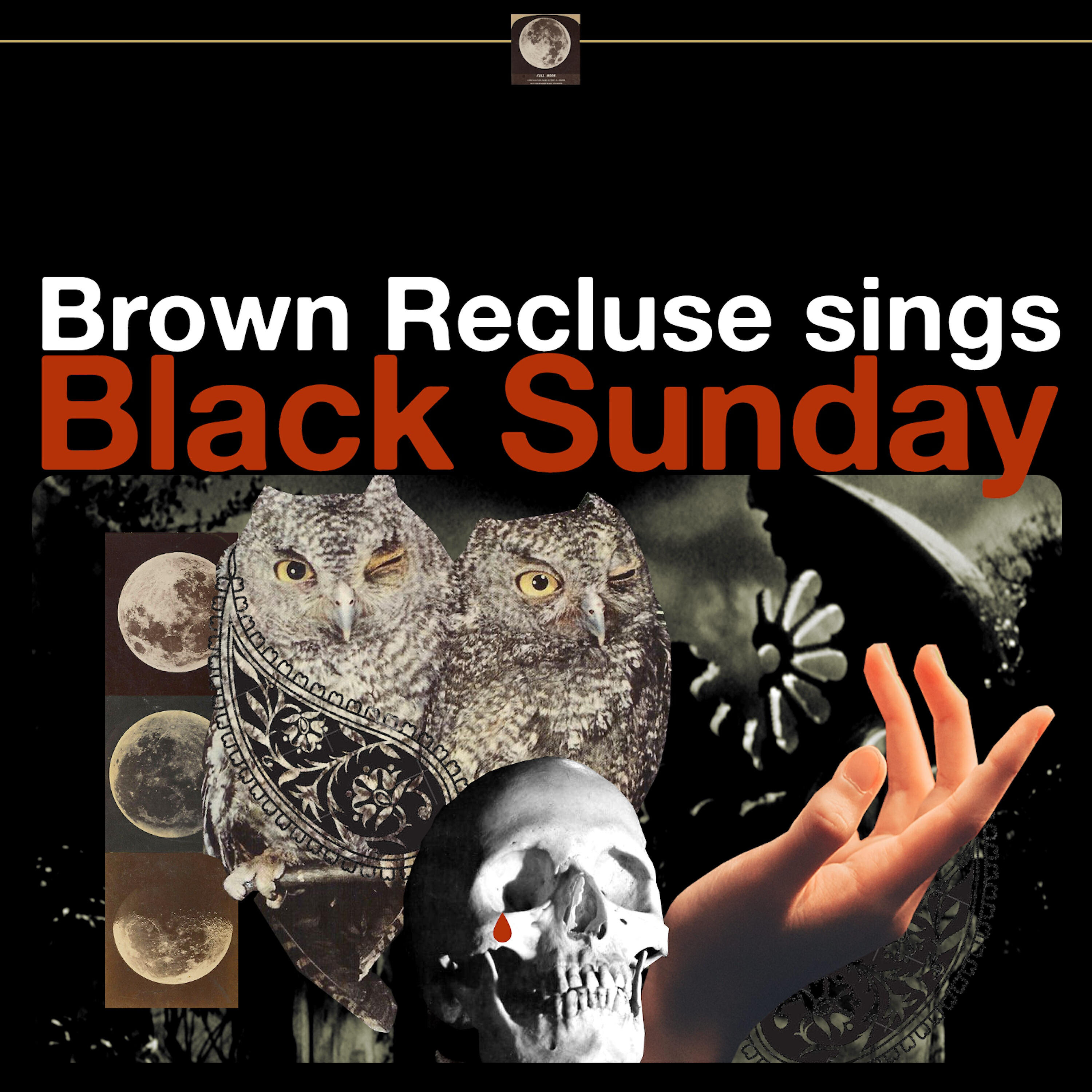Brown Recluse - Mystifying Oracle