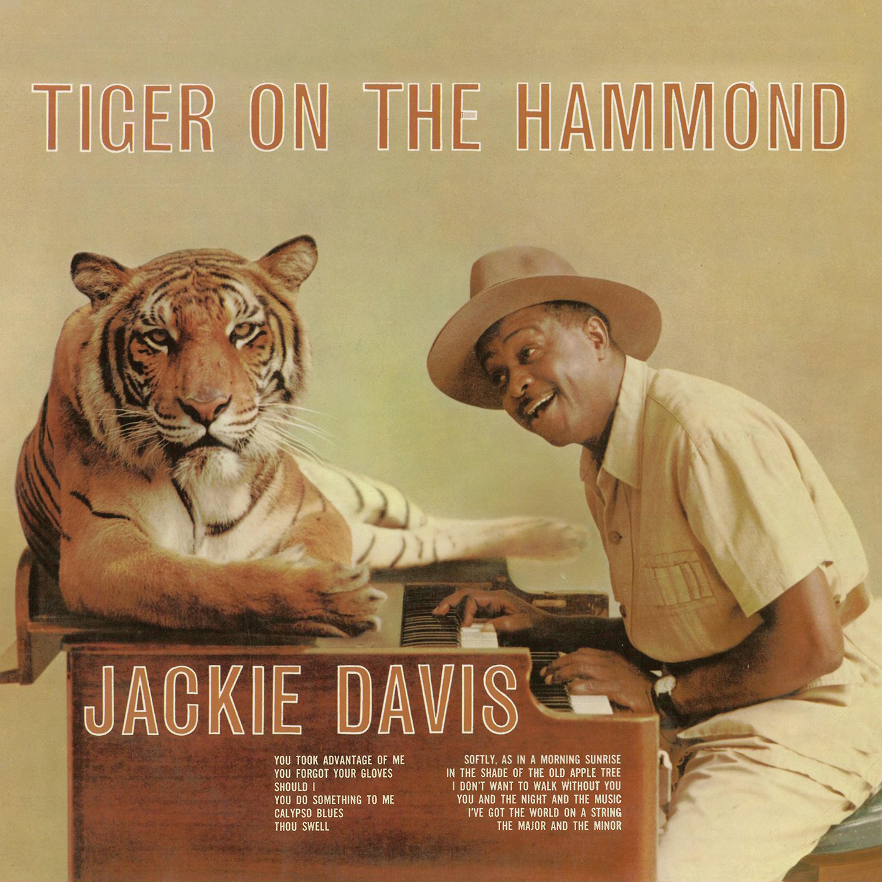 Постер альбома Tiger on the Hammond (Remastered)