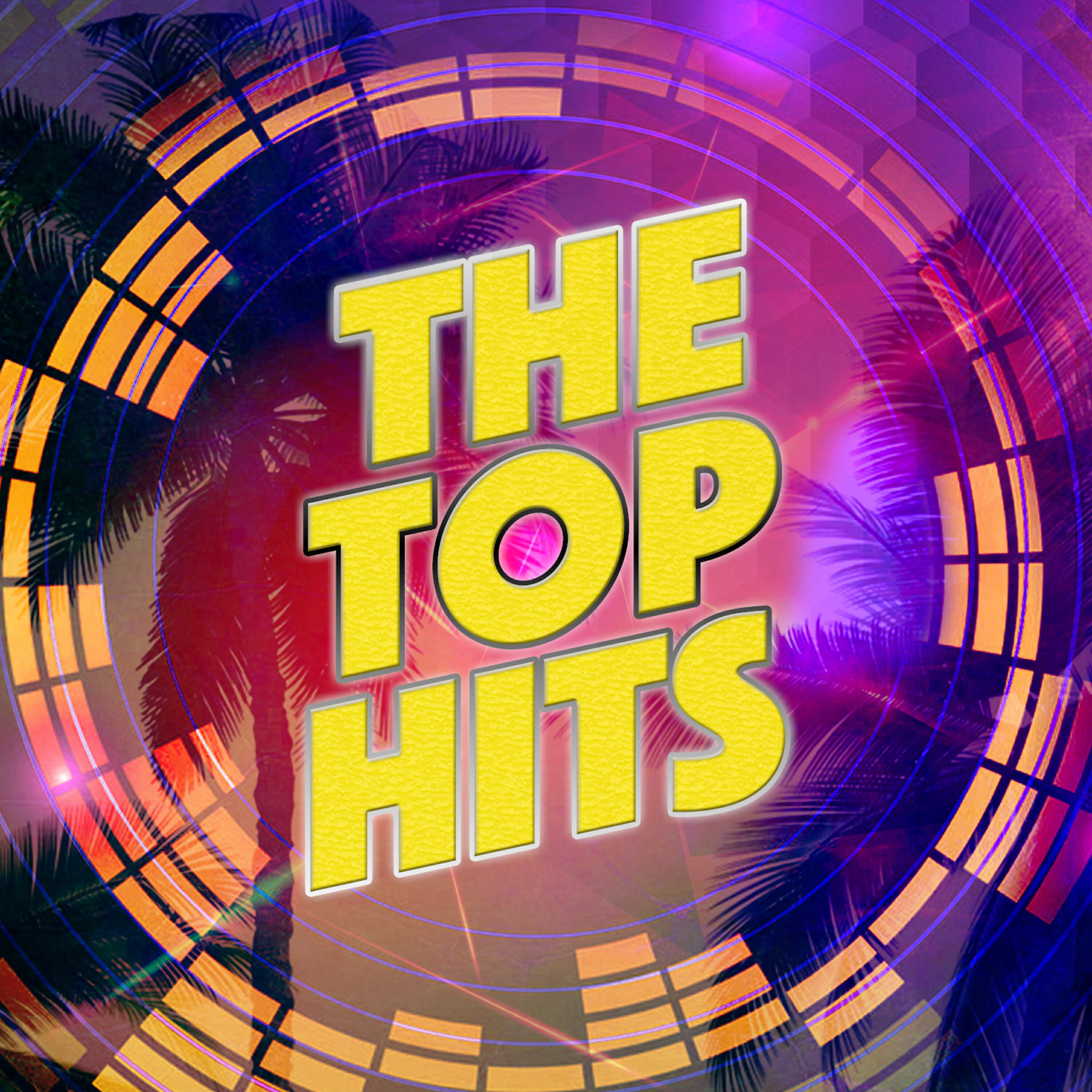 Top Hits - Flashed Junk Mind