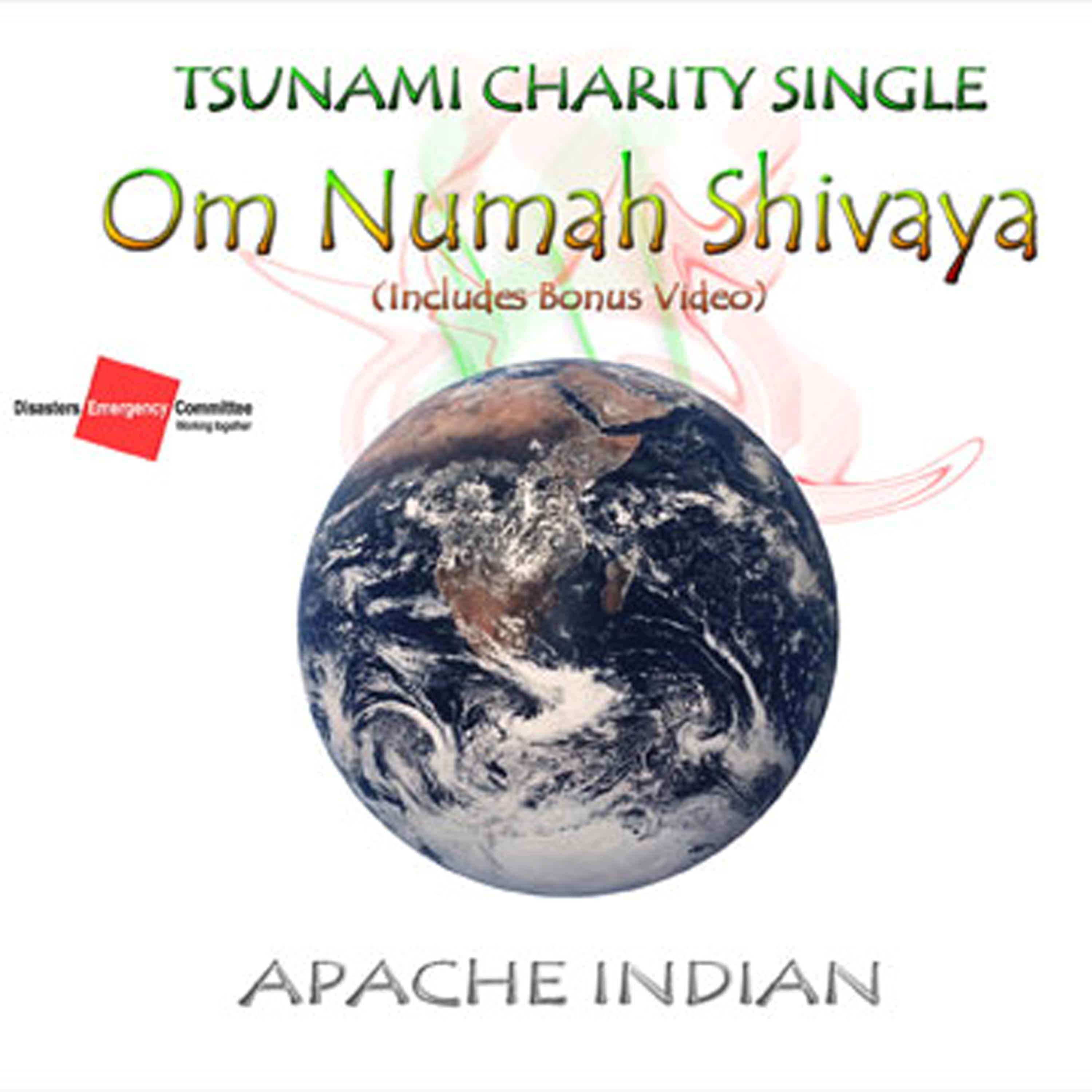Постер альбома Om Numah Shivaya