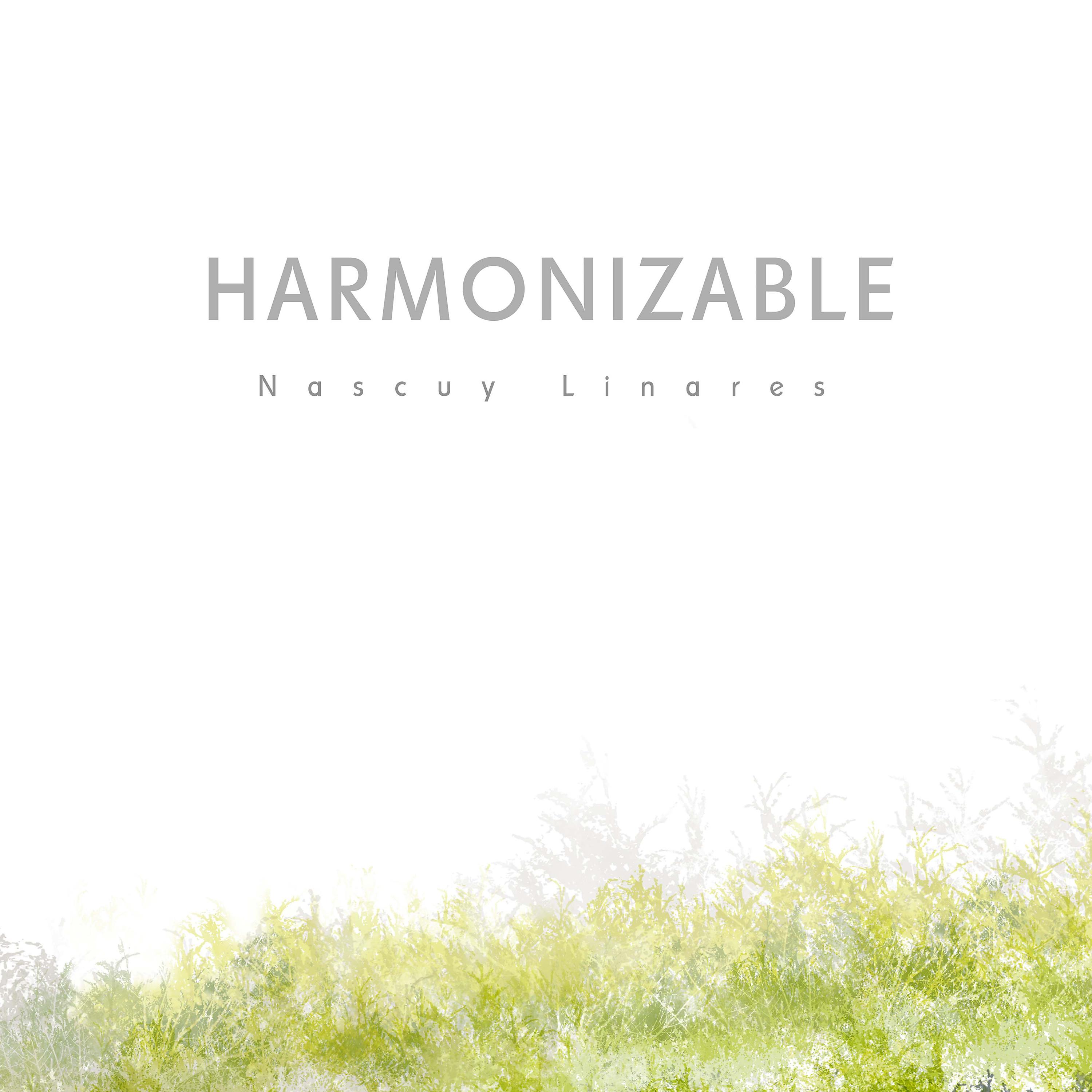Постер альбома Harmonizable
