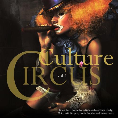 Постер альбома Culture Circus, Vol.1
