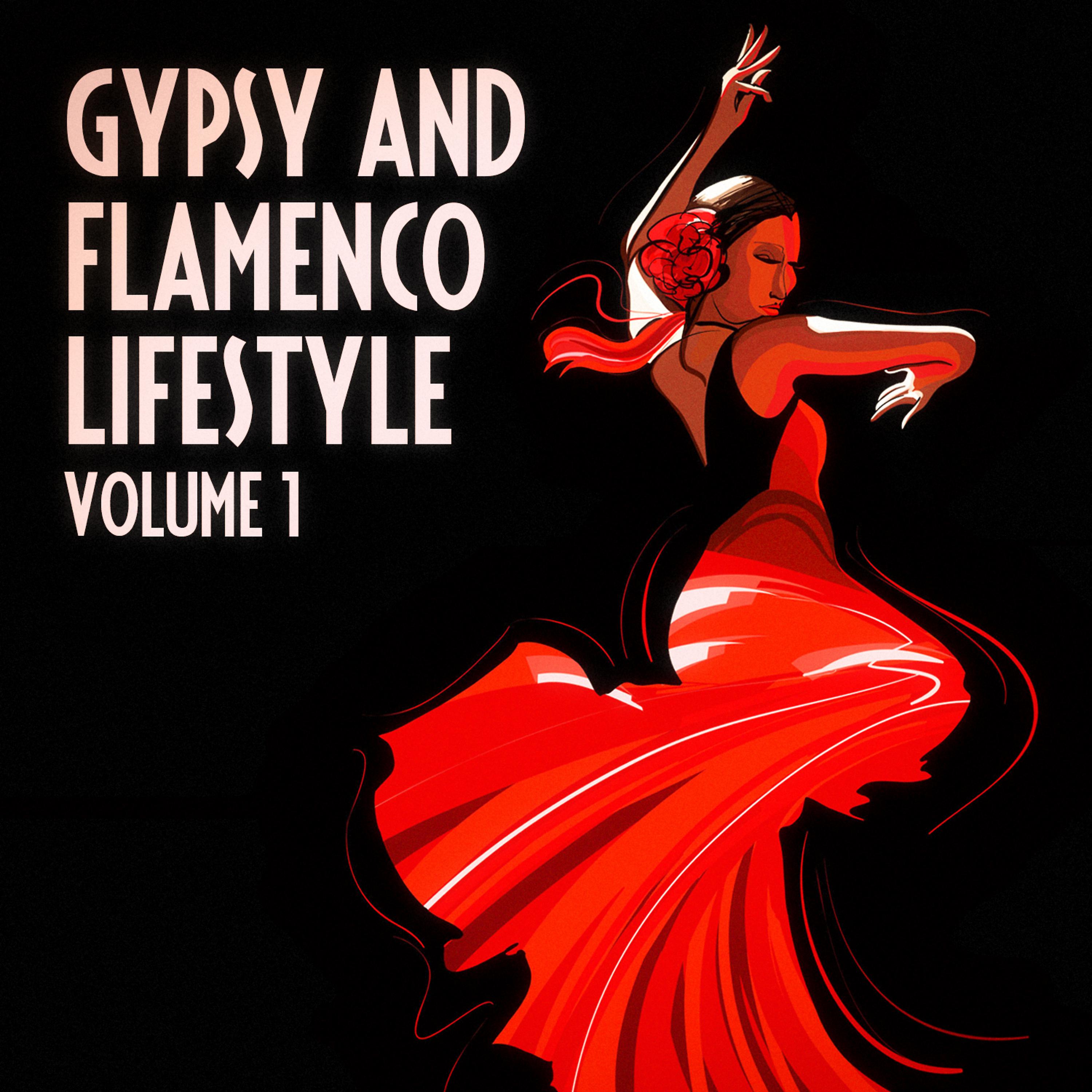 Постер альбома The Gypsy and Flamenco Lifestyle, Vol. 1