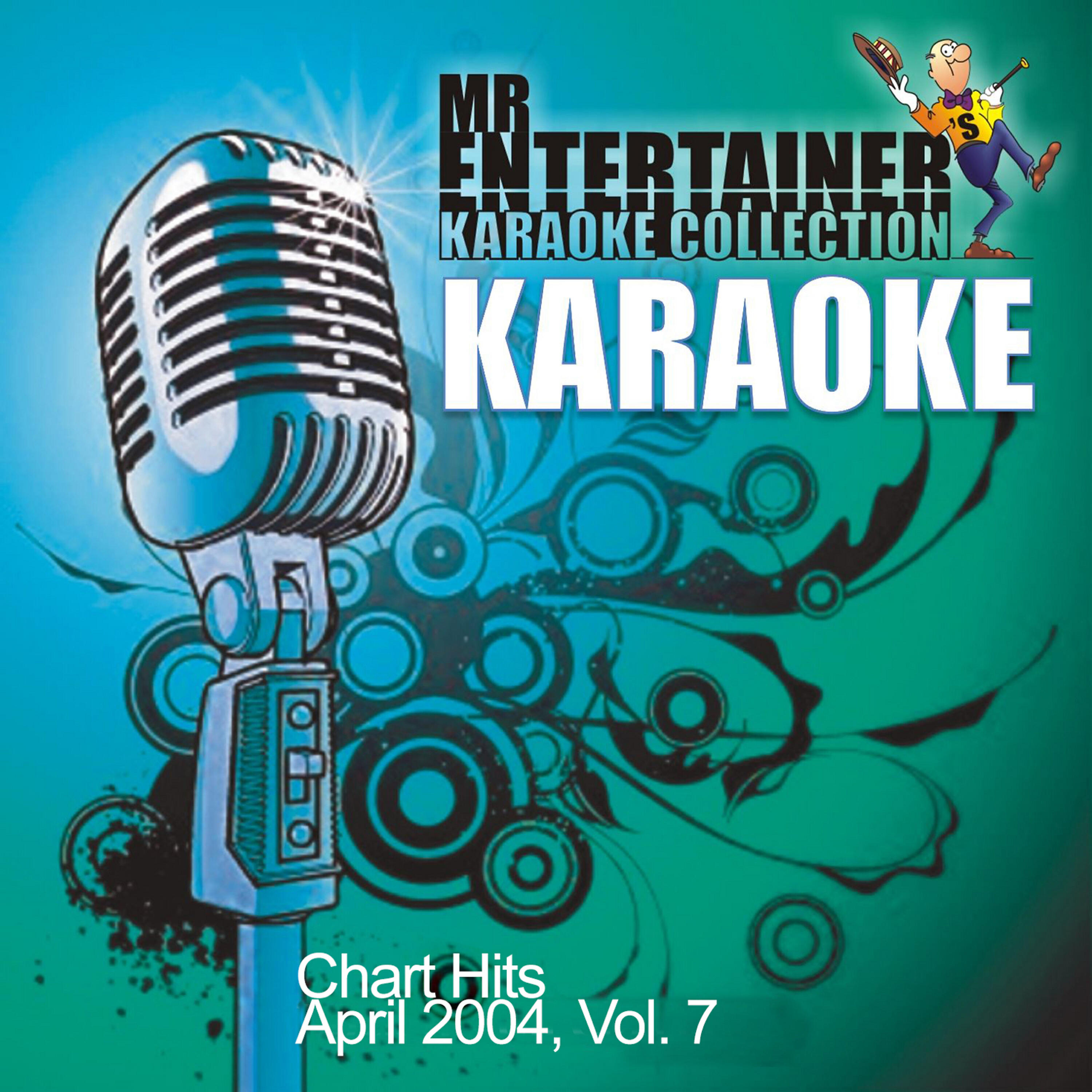 Mr. Entertainer Karaoke - Air Hostess (In the Style of Busted) [Karaoke Version]