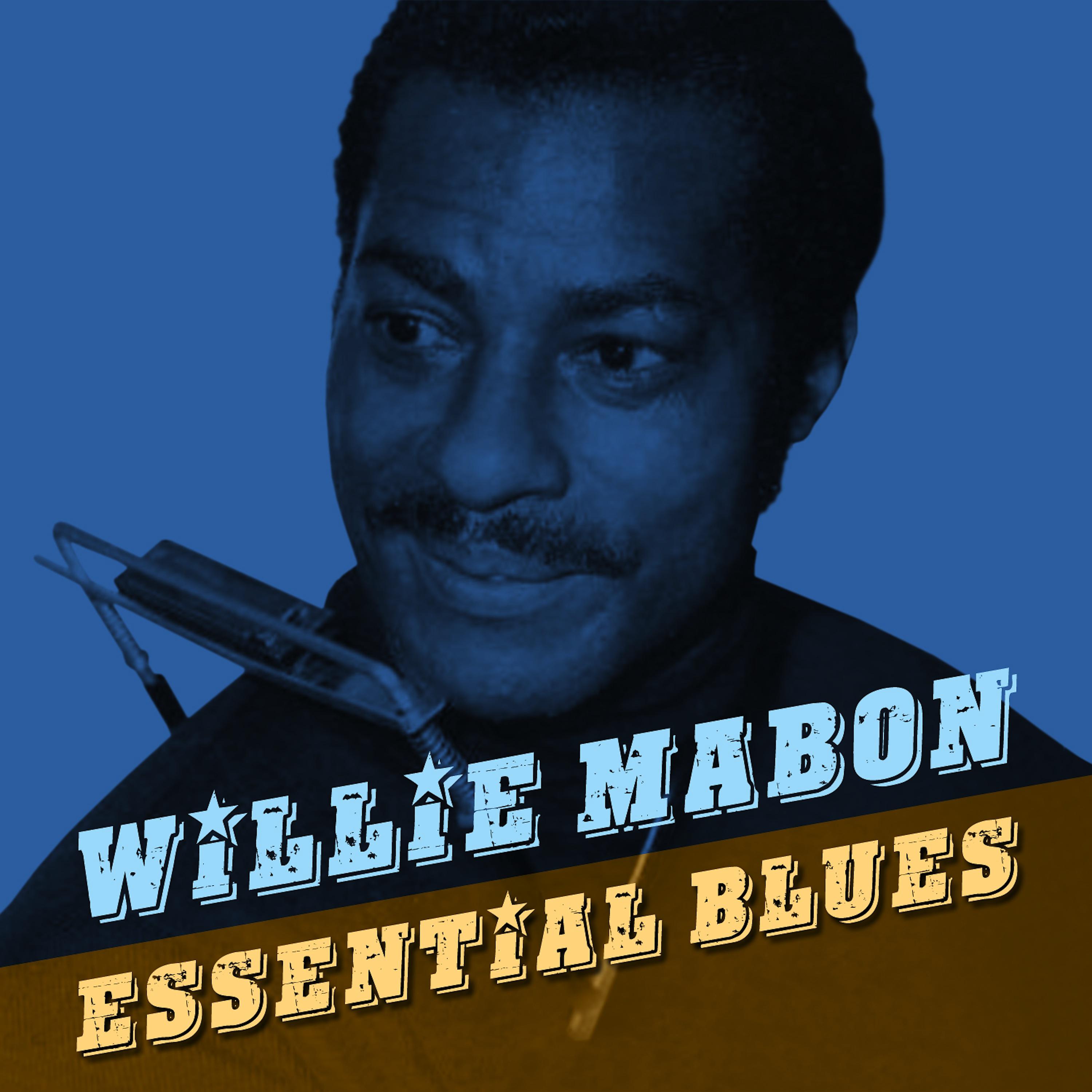 Постер альбома Essential Blues