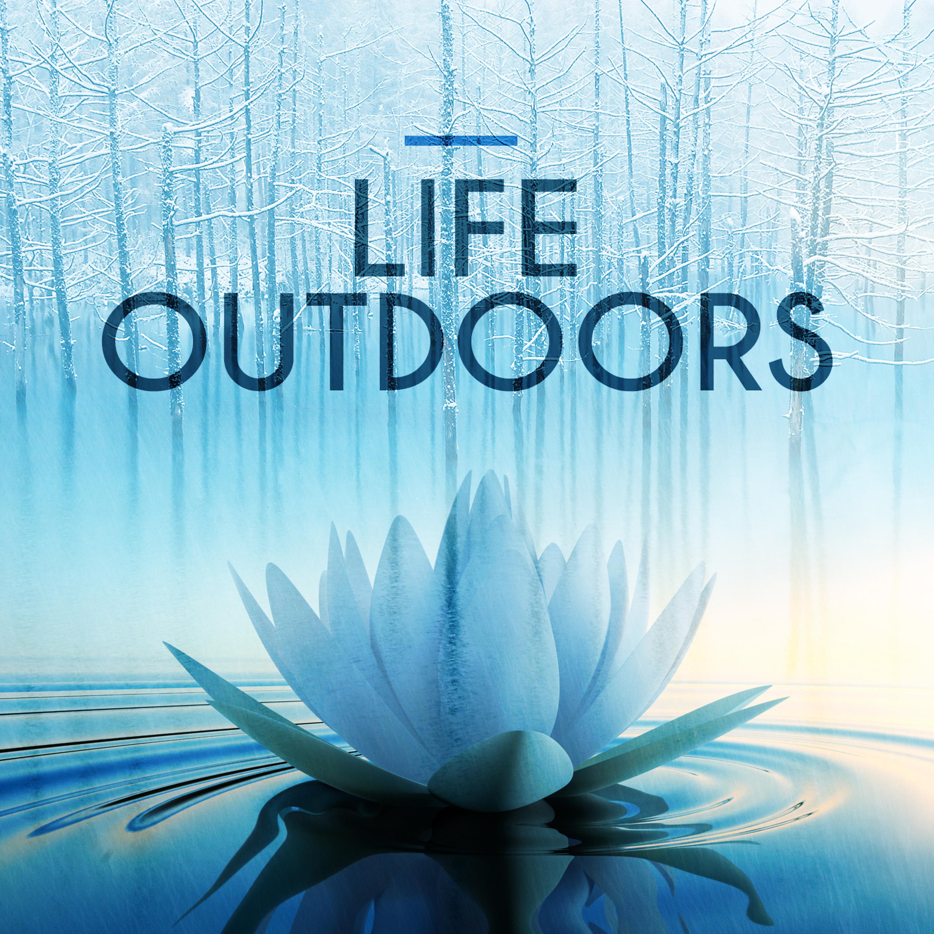 Постер альбома Life Outdoors