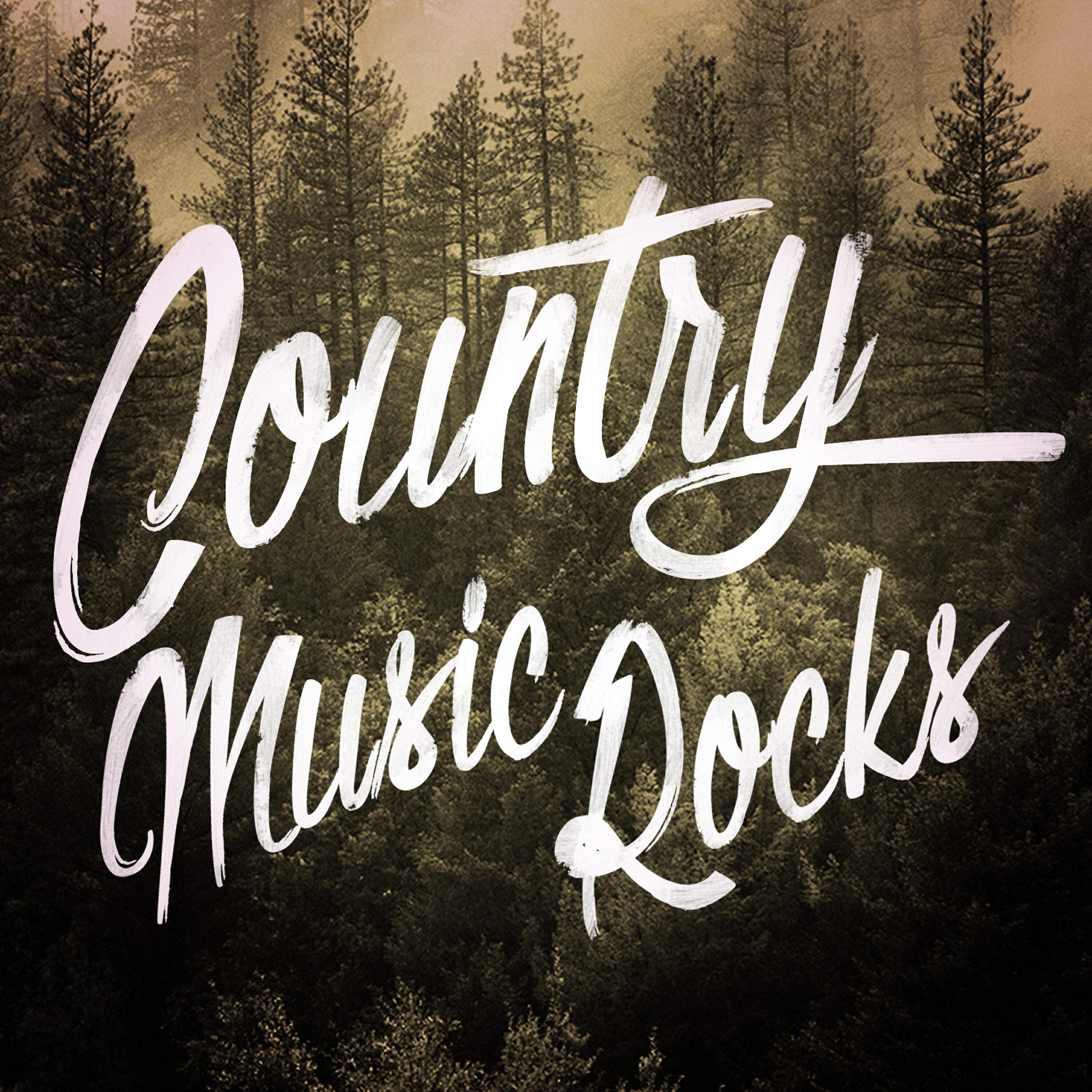 Country Music - Sold (The Grundy County Auction Incident)