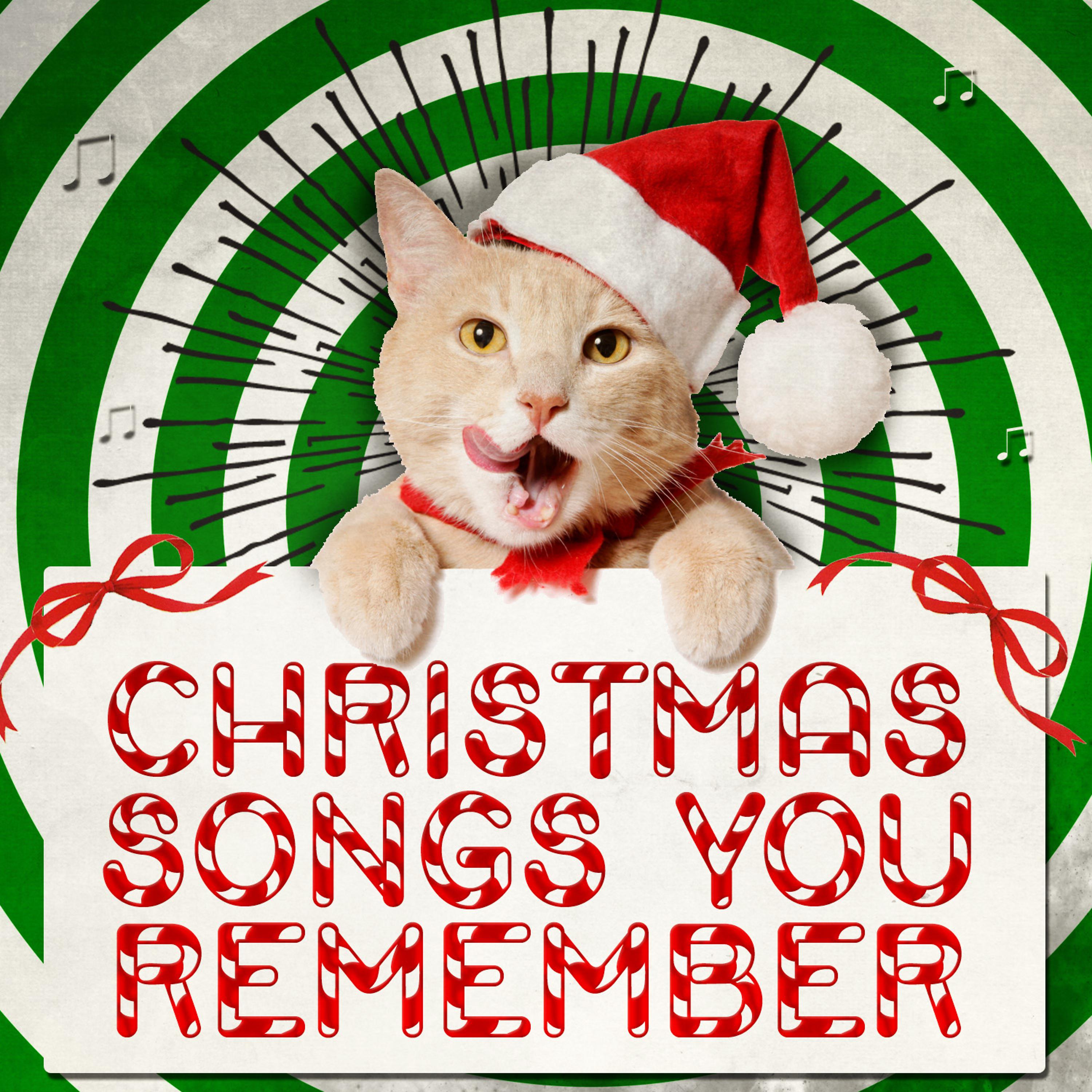 Постер альбома Christmas Songs You Remember