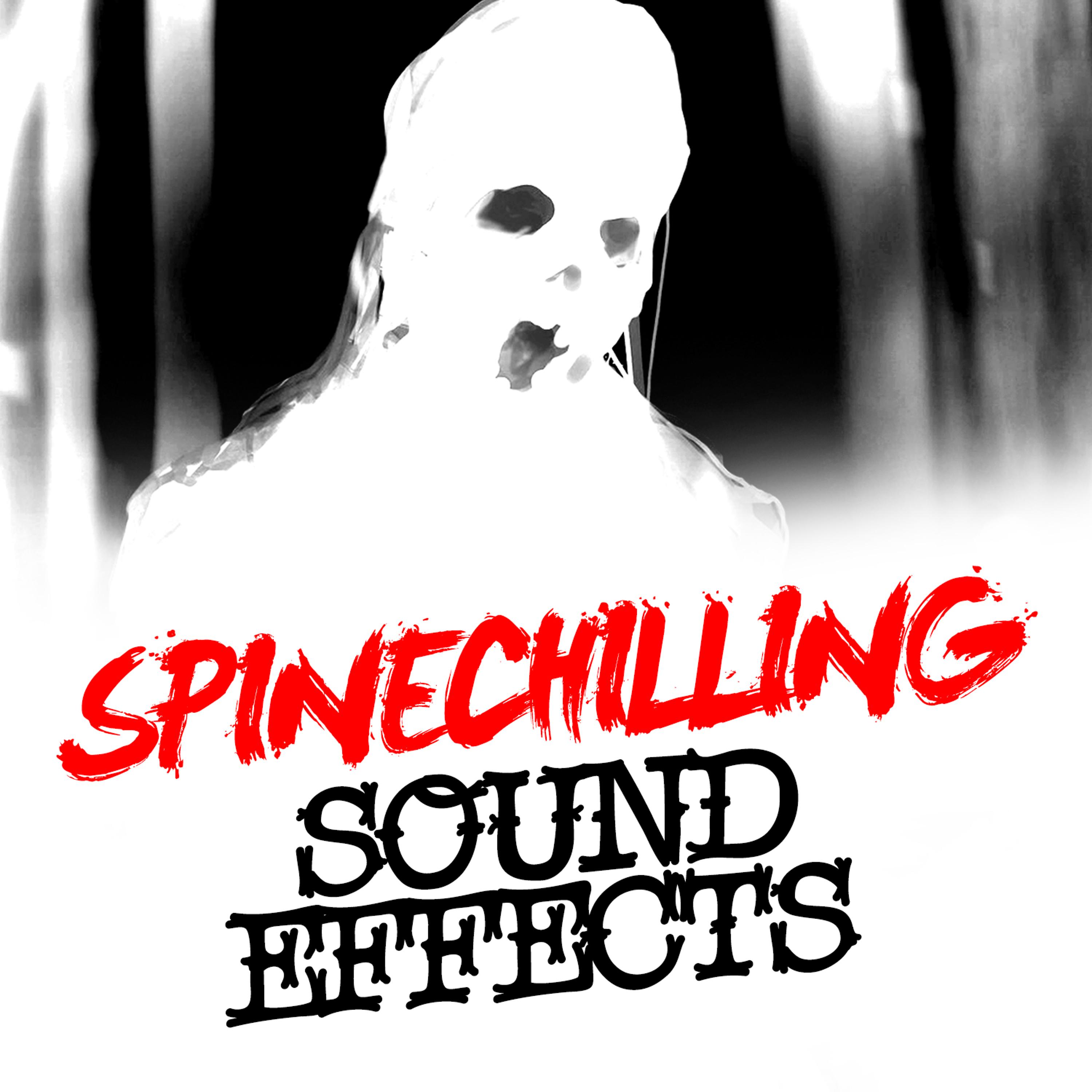 Постер альбома Spinechilling Sound Effects