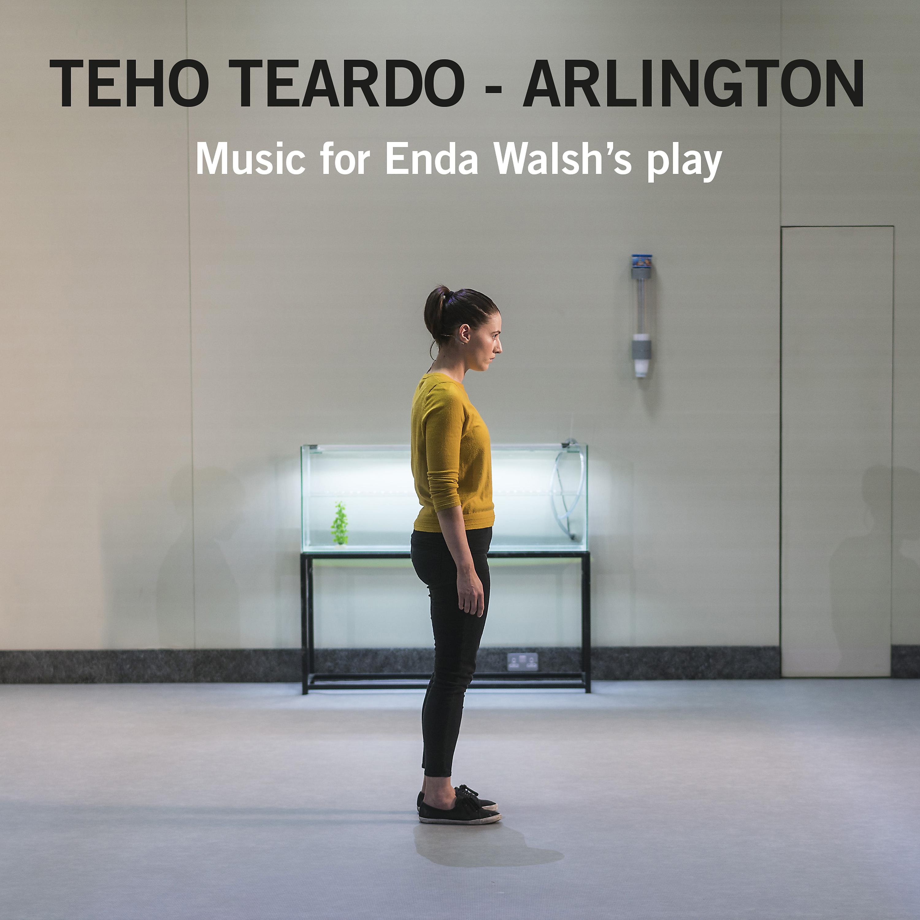 Постер альбома Arlington: Music for Enda Walsh's Play