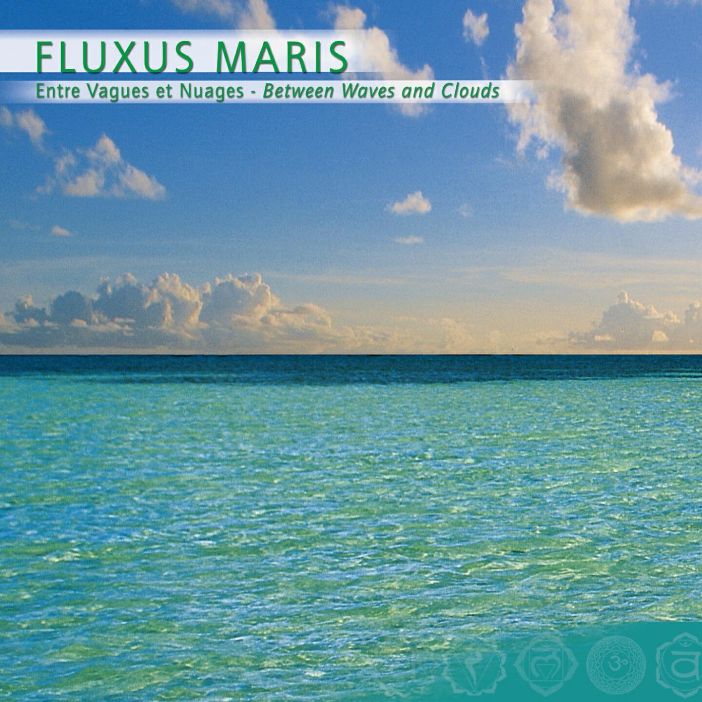 Gioari - Fluxus Maris, Entre Vagues et Nuages part 3