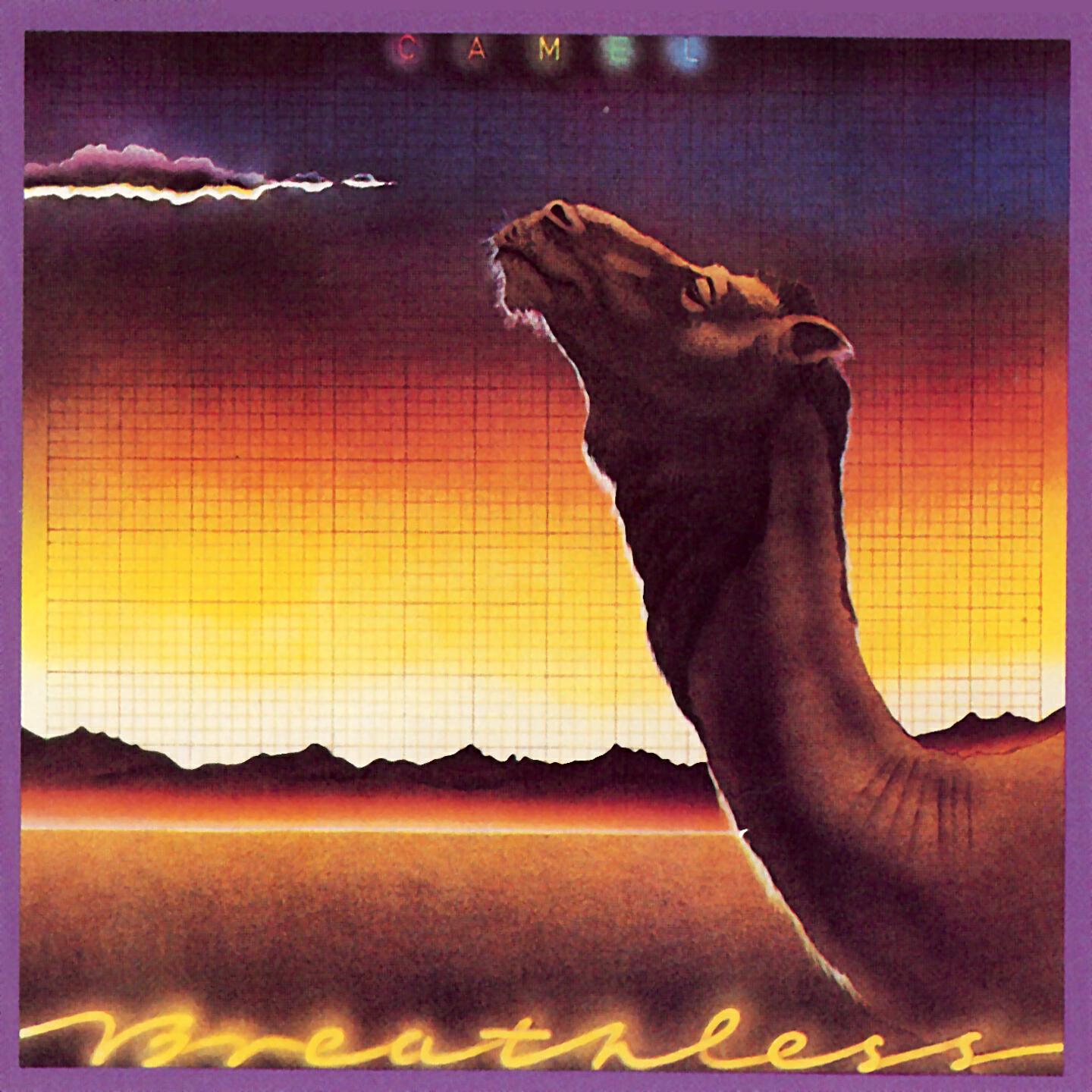 Camel - Echoes