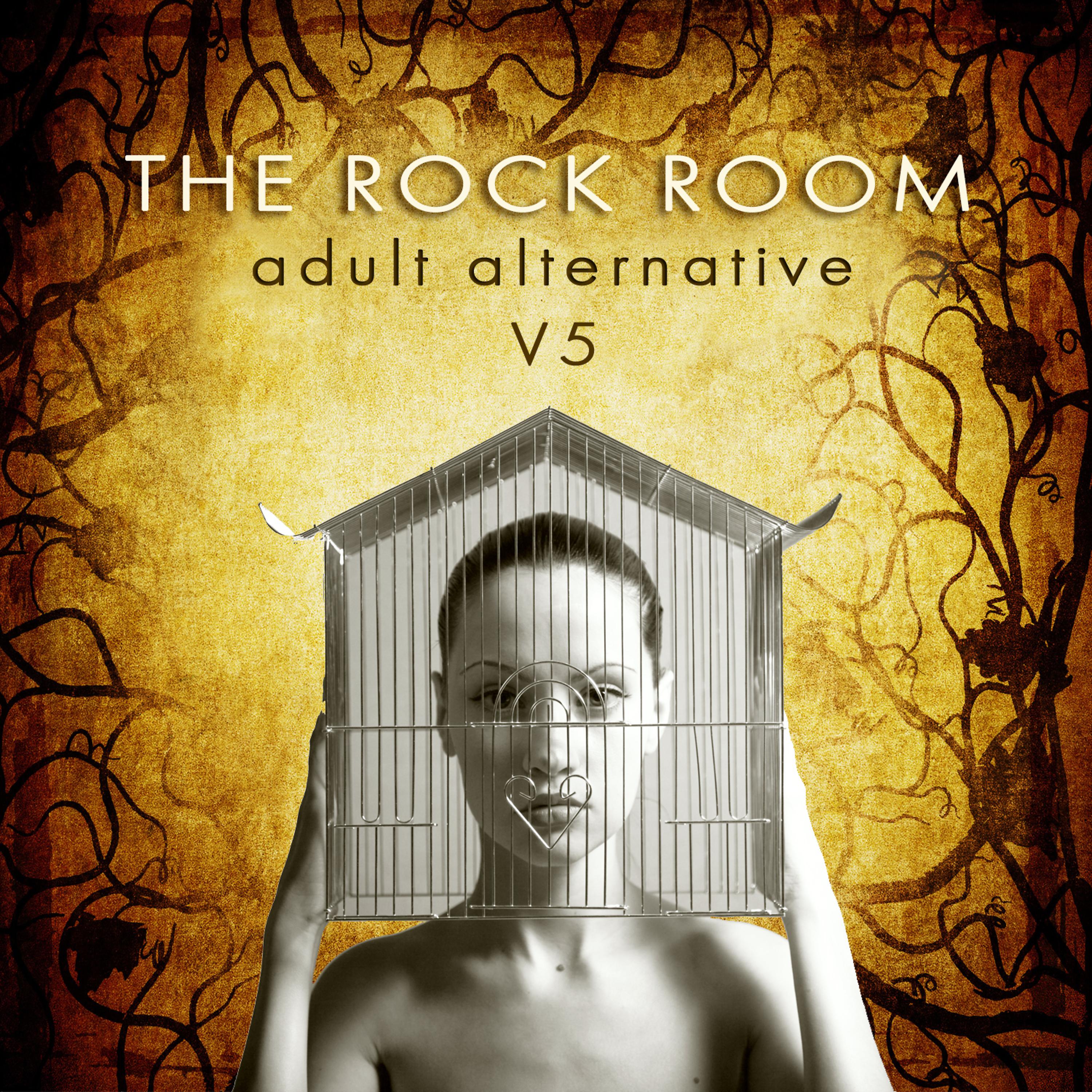 Постер альбома The Rock Room: Adult Alternative, Vol. 5