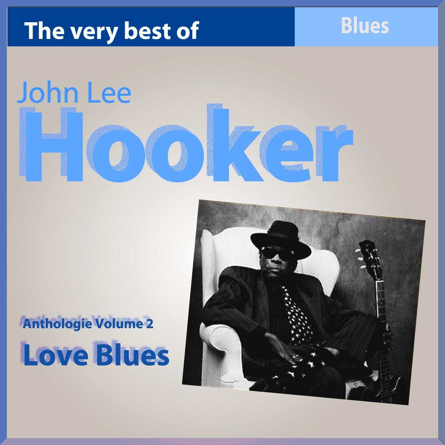 JOHN LEE HOOKER - Unfriendly Woman