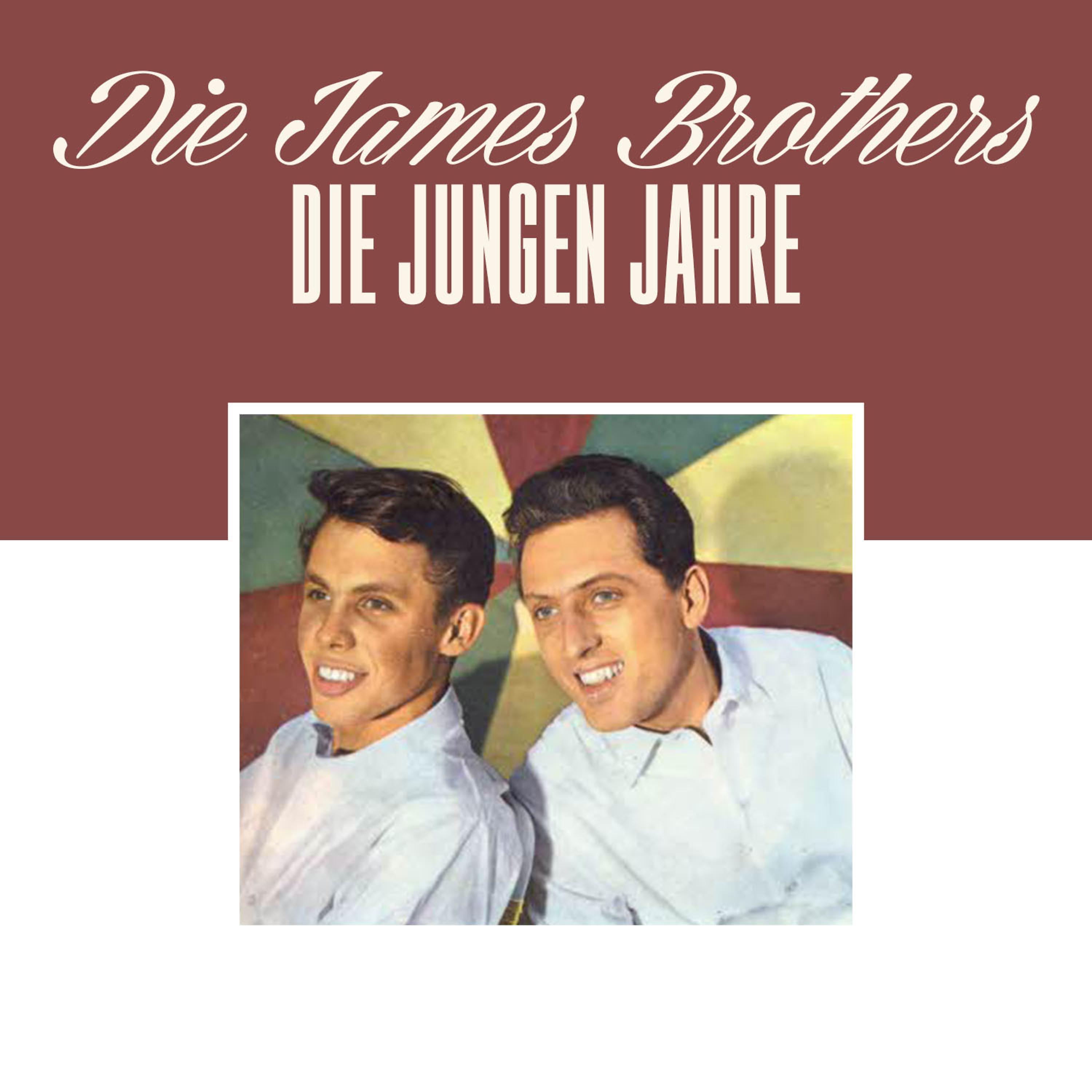 Постер альбома Die jungen Jahre 