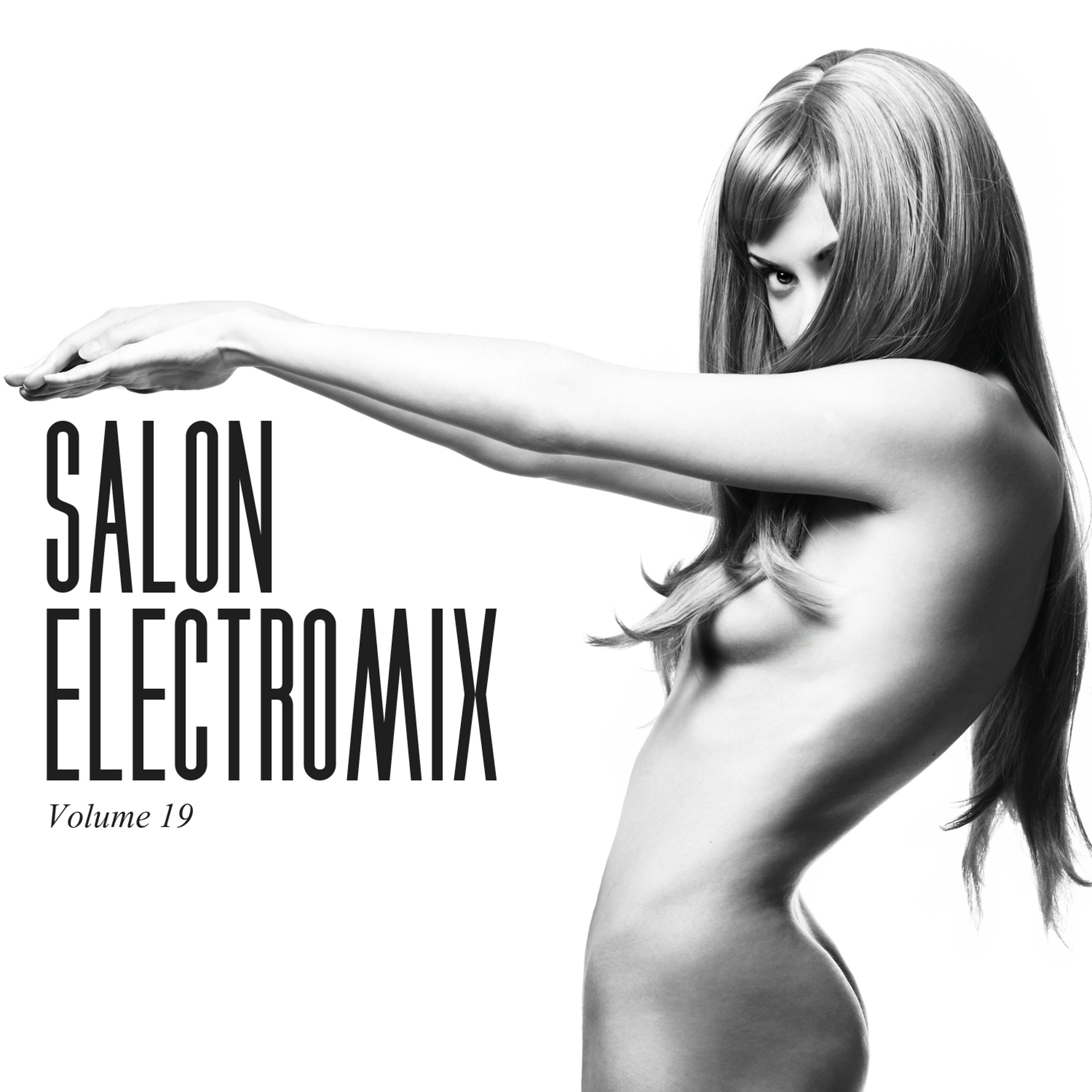 Постер альбома Salon Electromix, Vol. 19