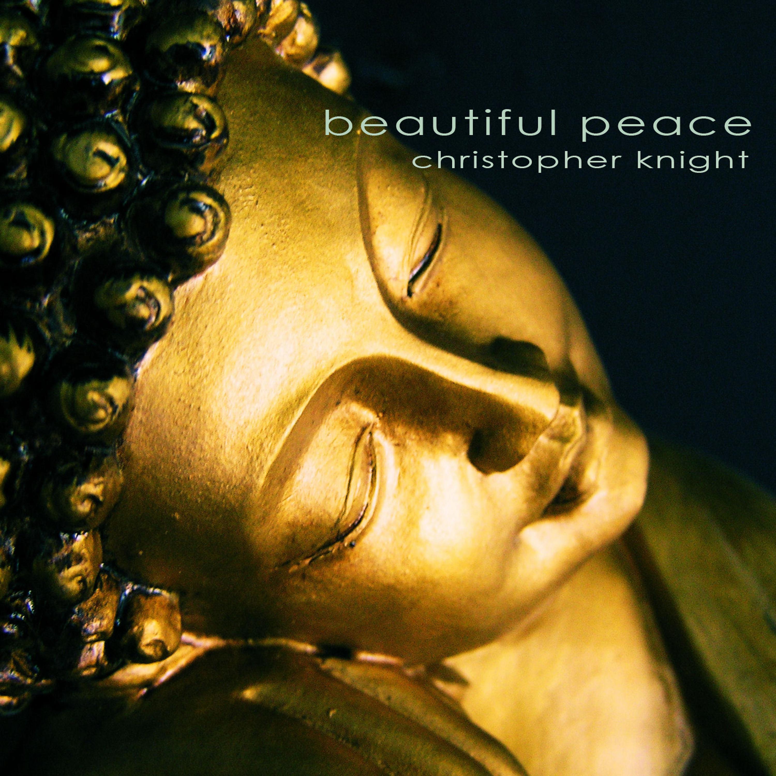 Постер альбома Beautiful Peace