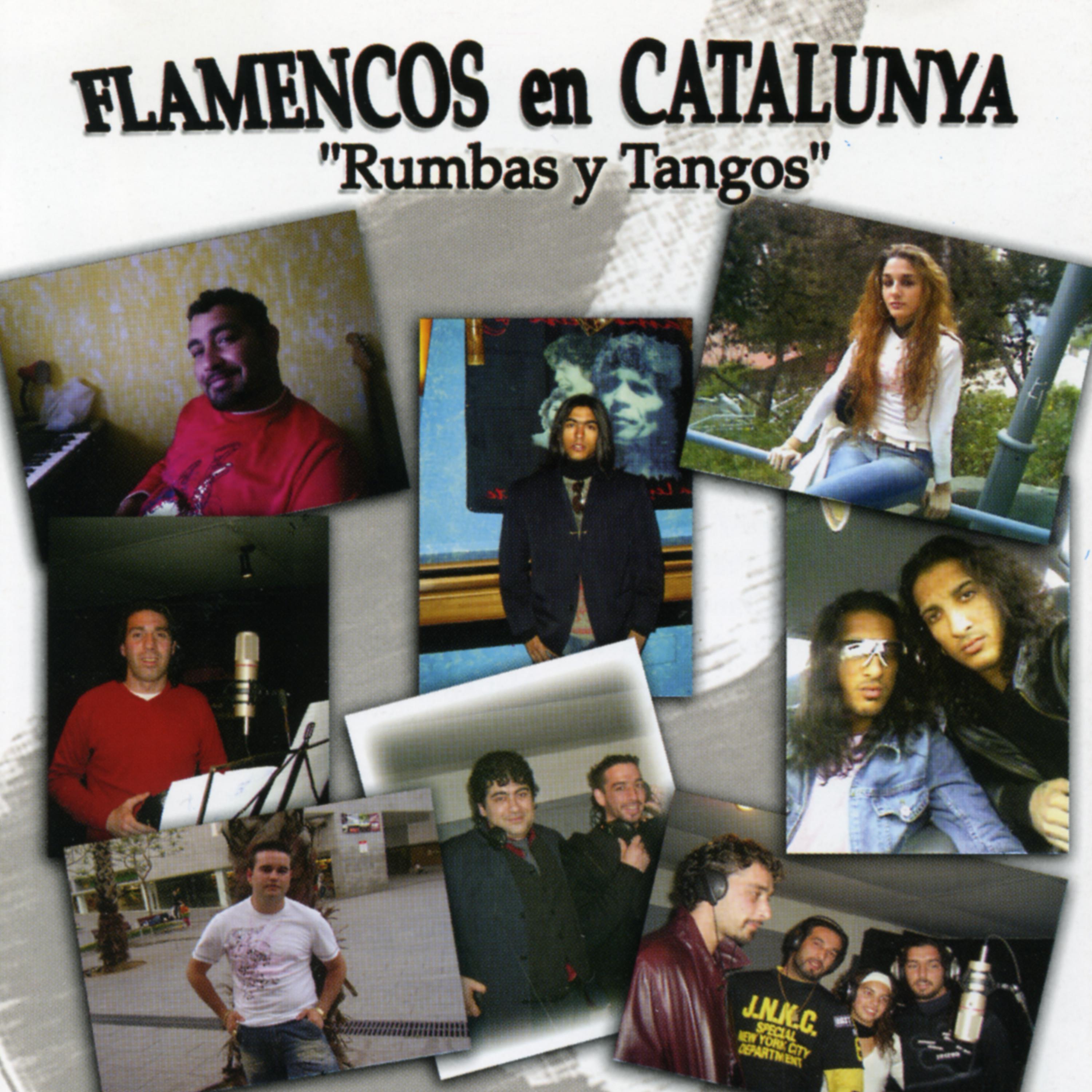 Постер альбома Flamencos en Catalunya: Rumbas y Tangos