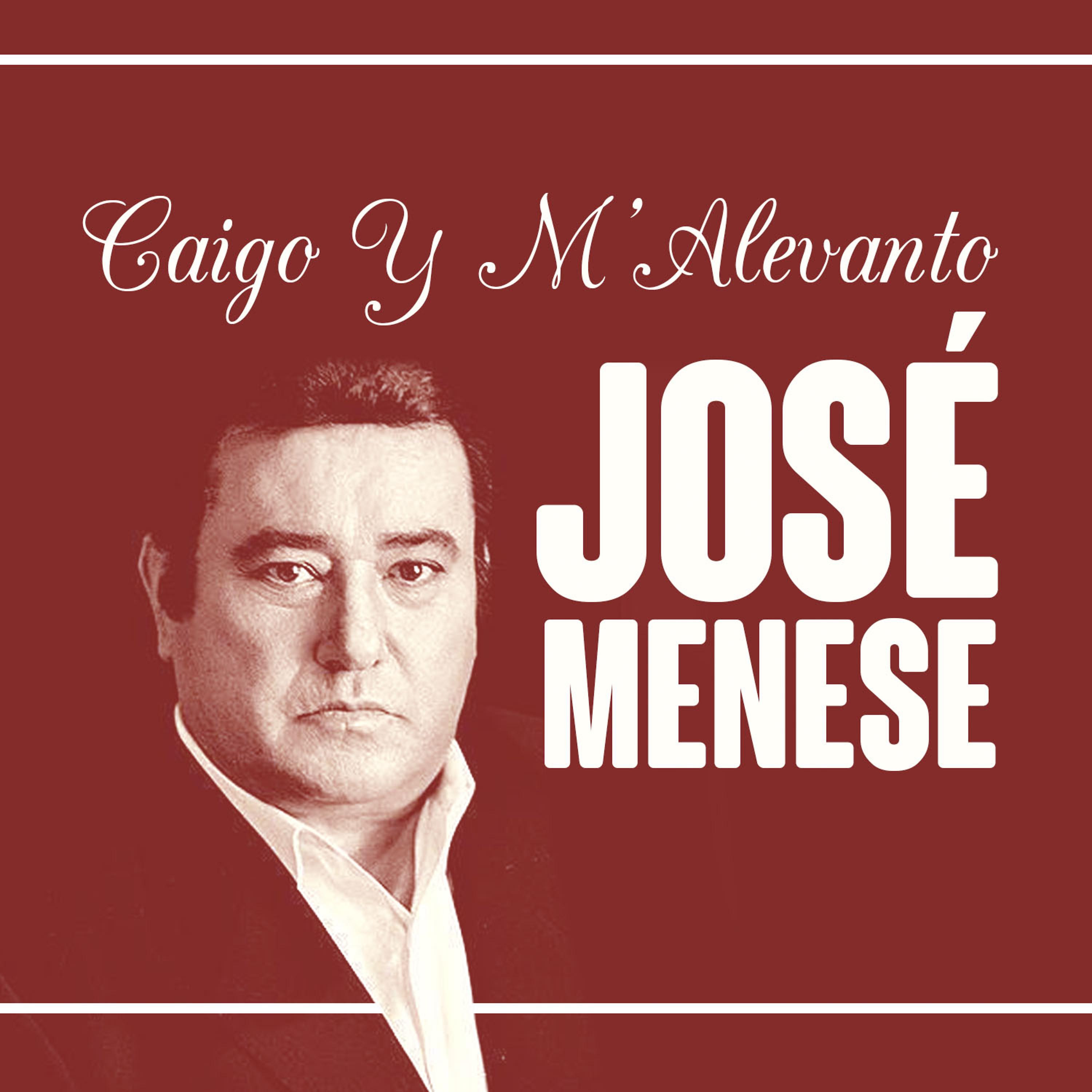 Постер альбома Caigo y M'alevanto