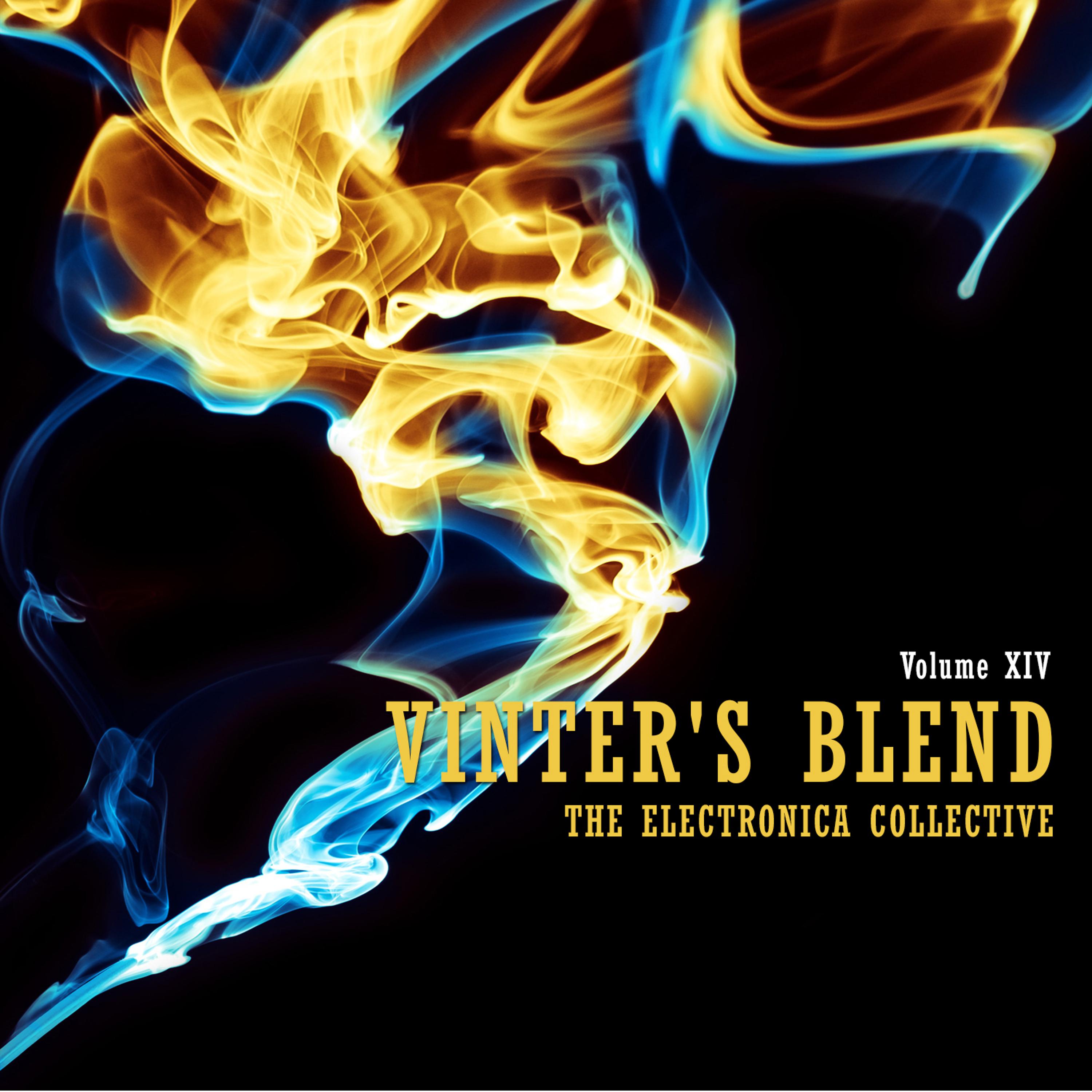 Постер альбома Vinter's Blend: The Electronica Collective, Vol. 14