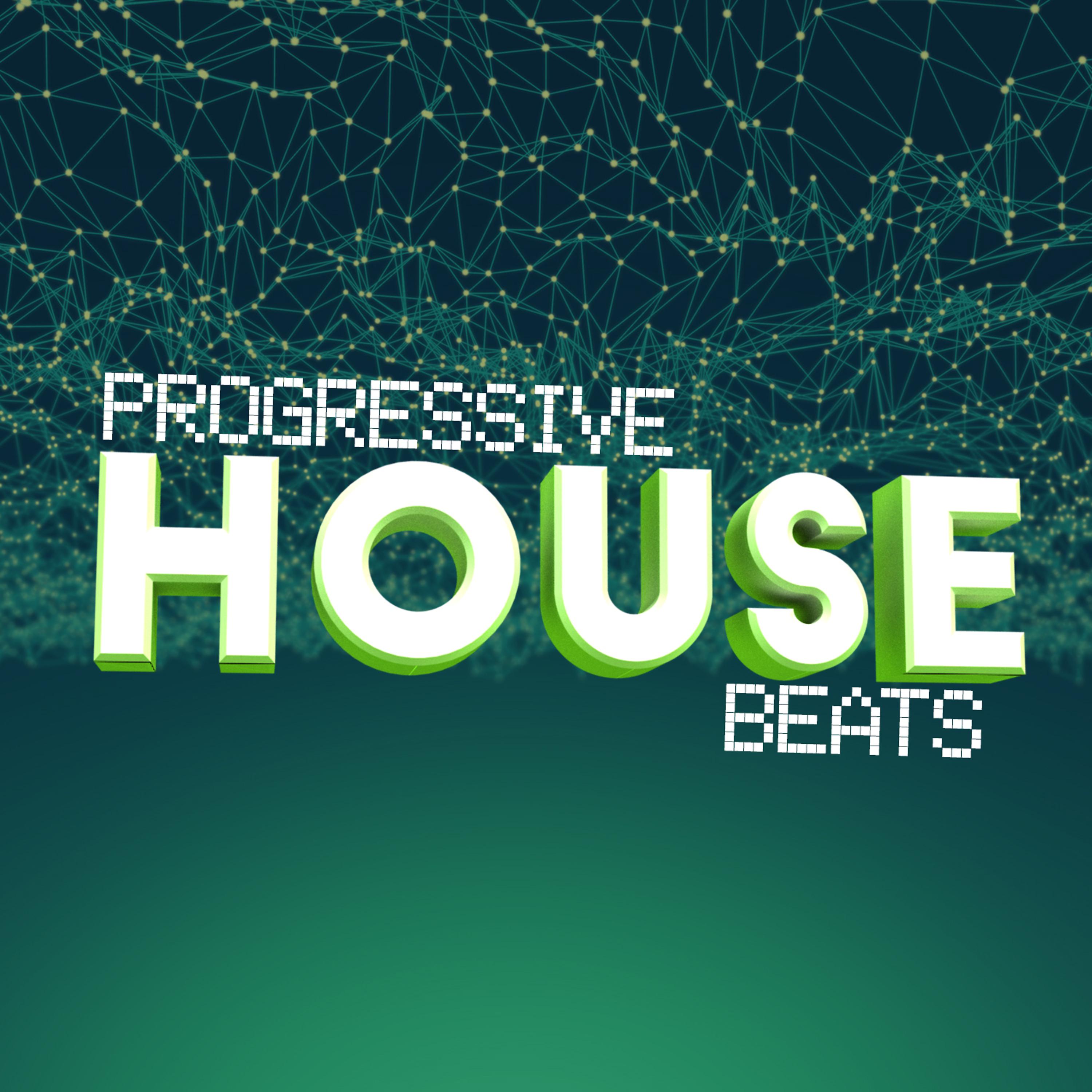 Постер альбома Progressive House Beats