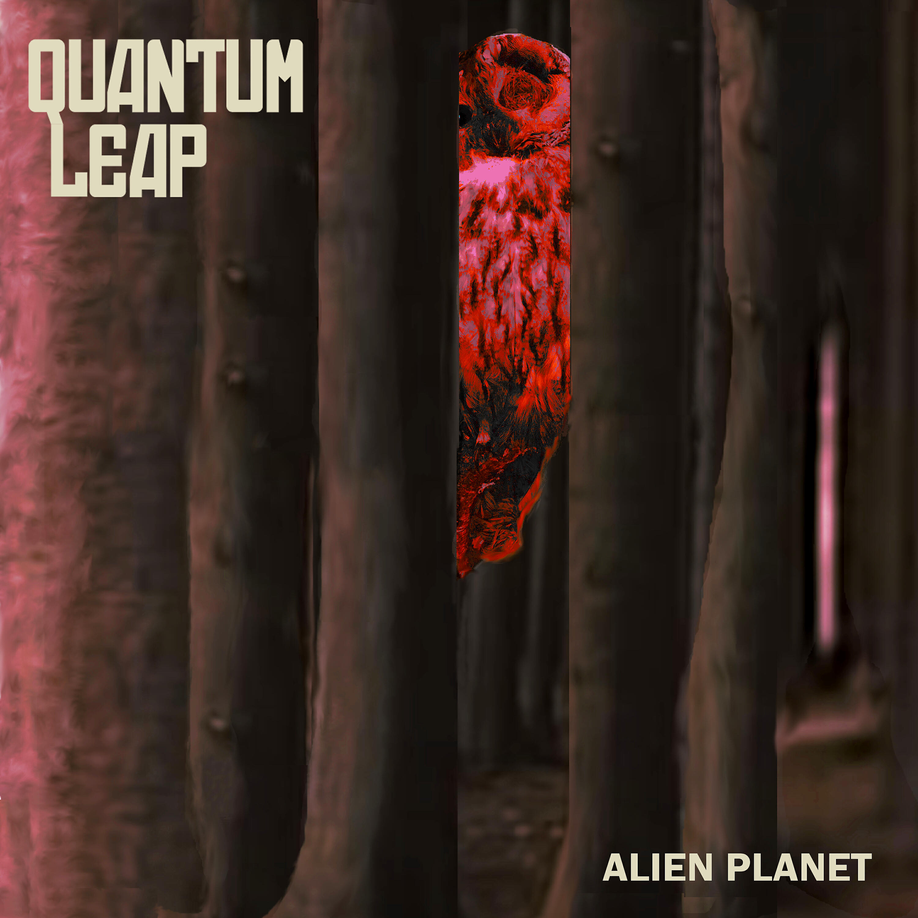 Quantum Leap - Doesn't Matter