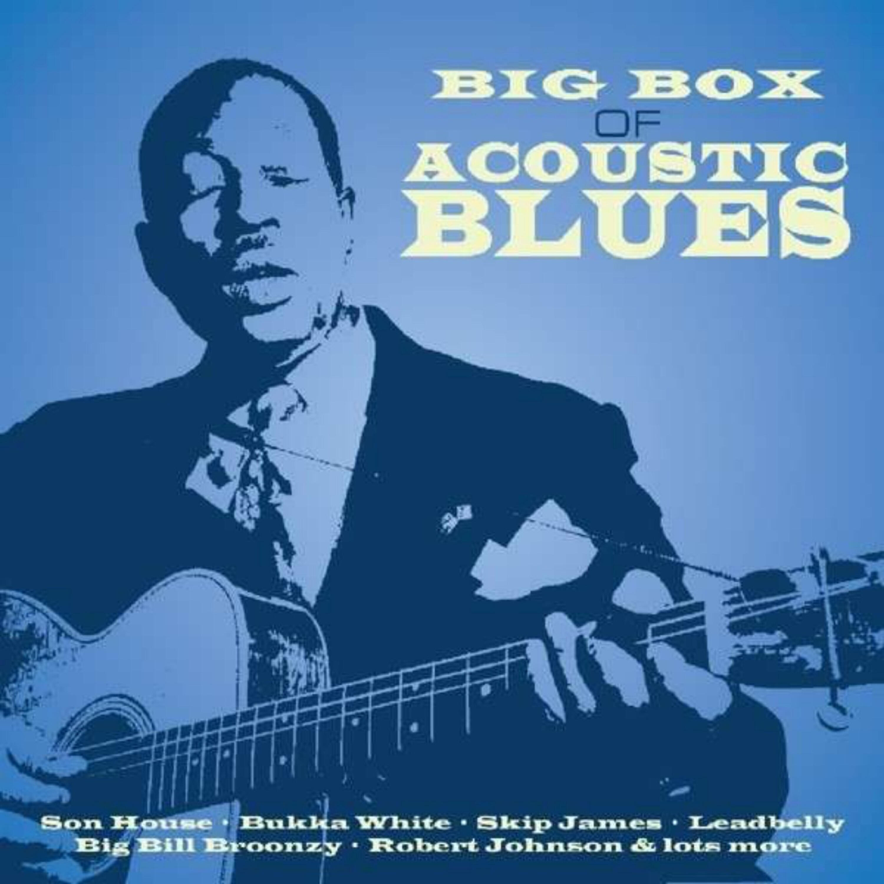 Arthur 'Big Boy' Crudup - Black Pony Blues