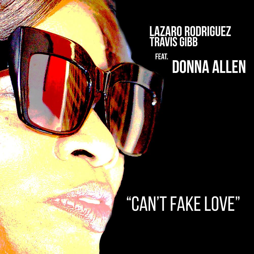 Постер альбома Can't Fake Love