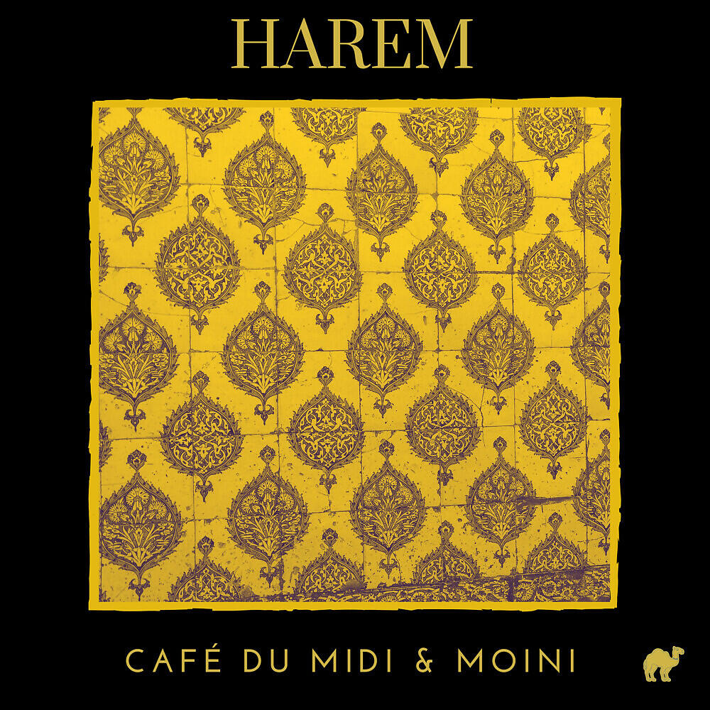Café Du Midi - Harem