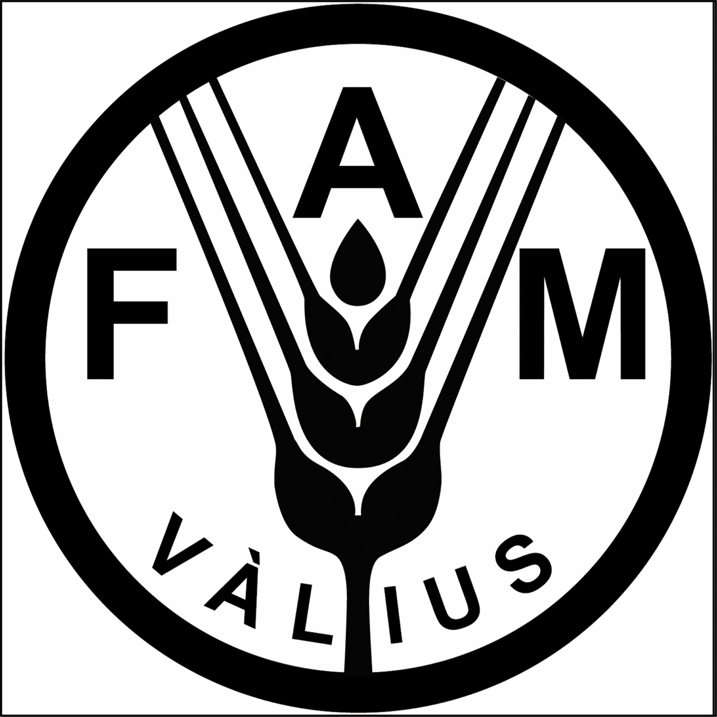Vàlius - Coses