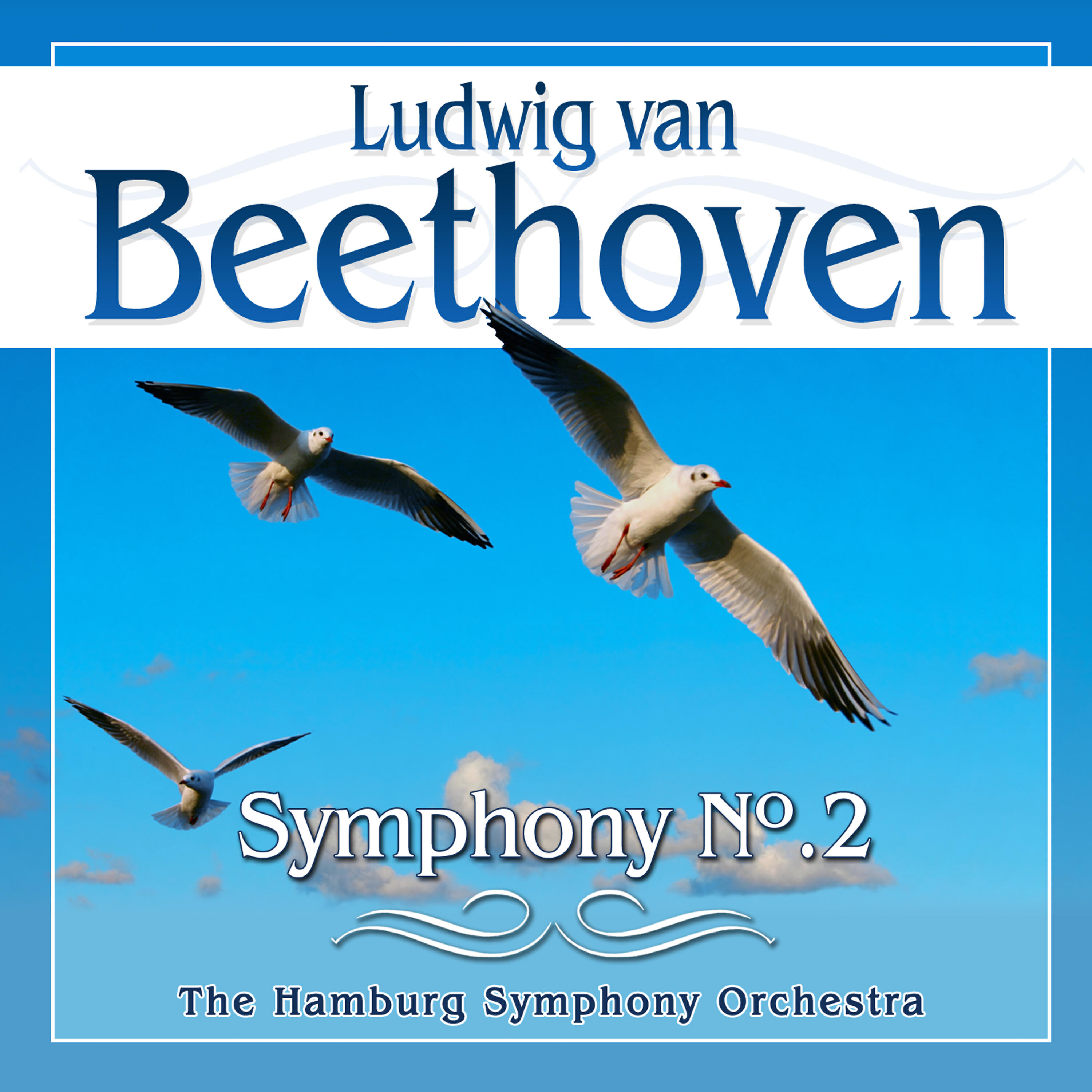 The Hamburg Symphony Orchestra - Symphony No.2 in D Major, Op.36: Larghetto